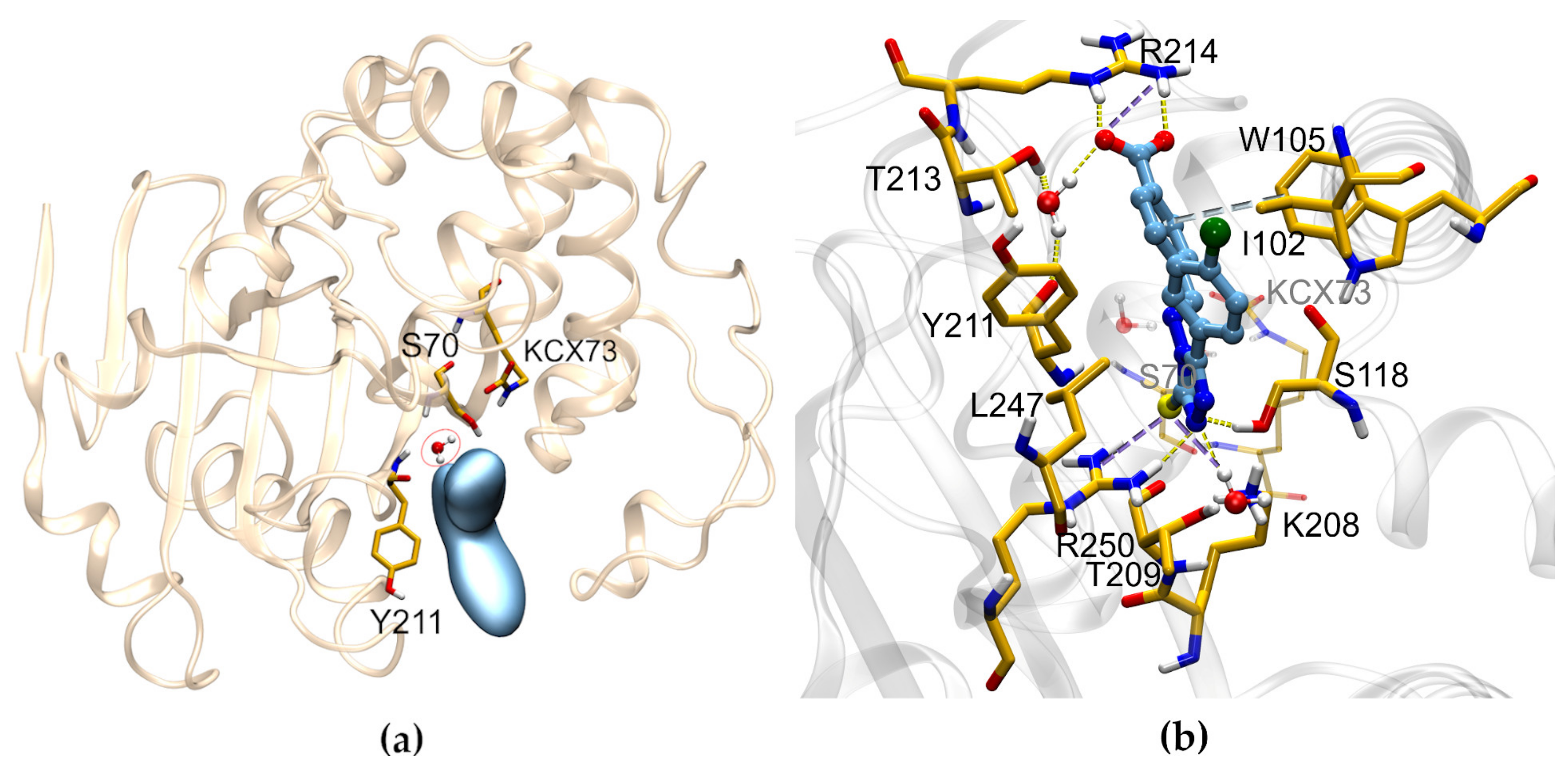 Pharmaceuticals 14 00612 g013