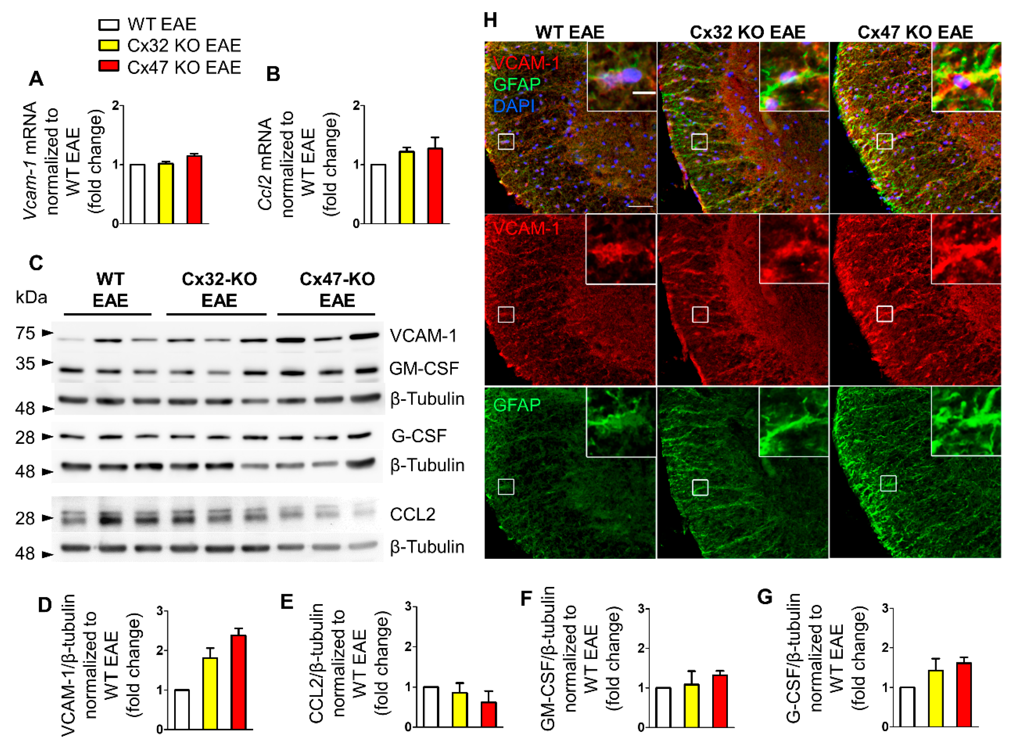 Pharmaceuticals 14 00621 g002