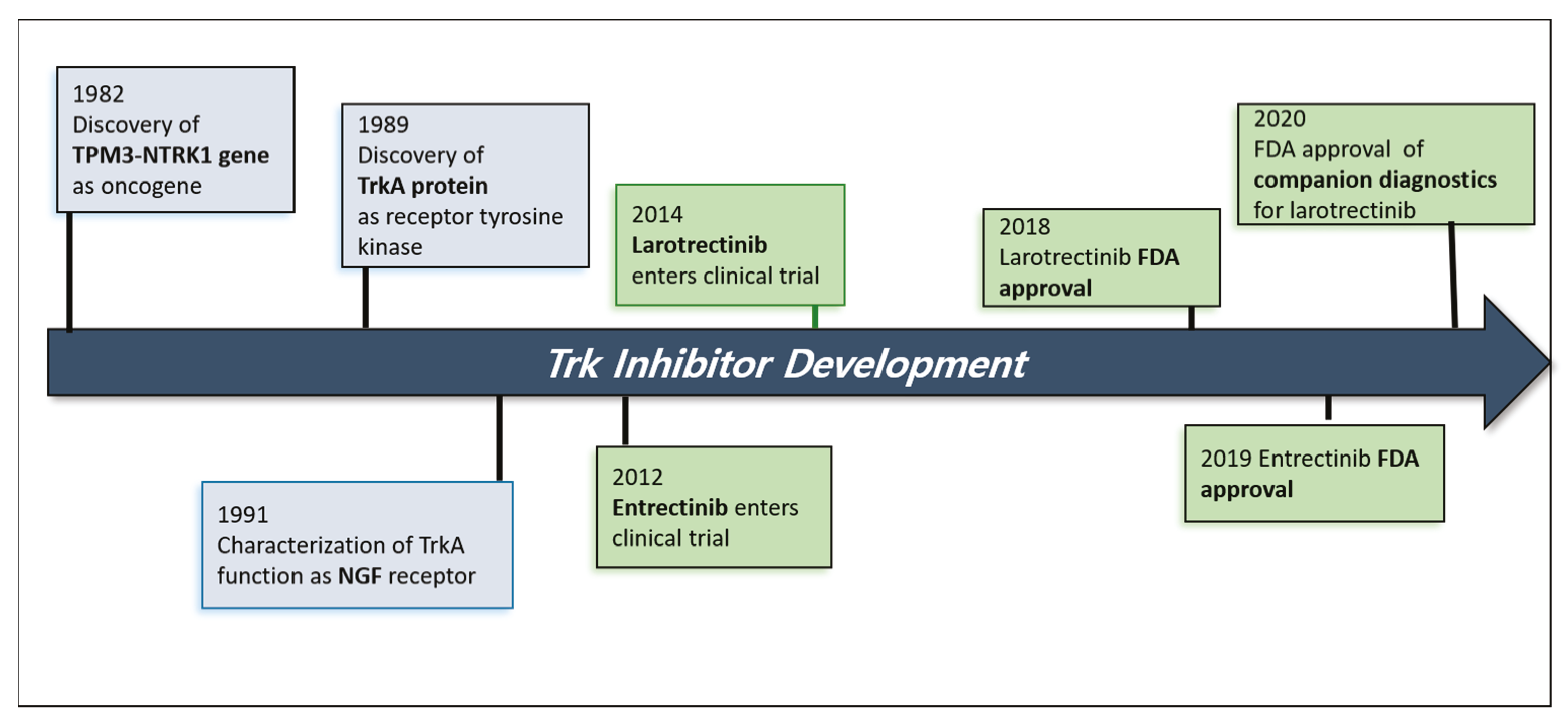 Pharmaceuticals 14 00632 g001