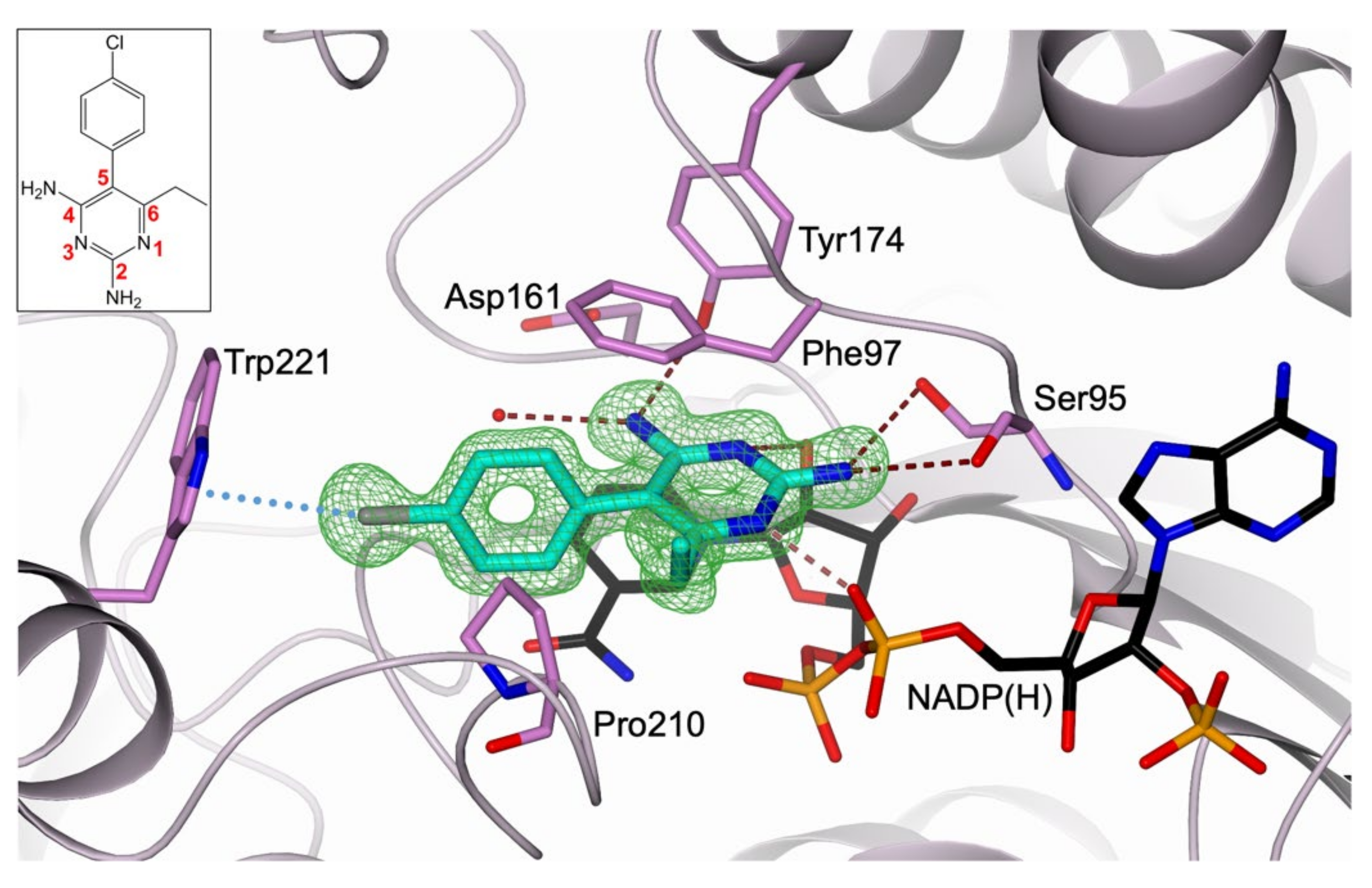 Pharmaceuticals 14 00636 g003