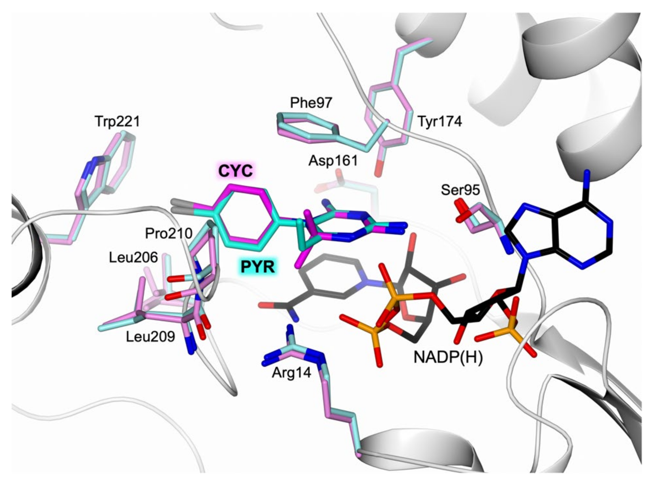 Pharmaceuticals 14 00636 g005
