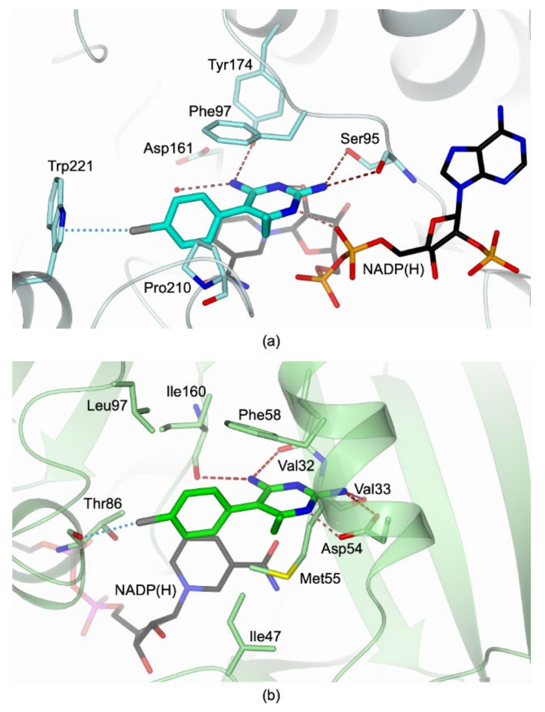 Pharmaceuticals 14 00636 g006