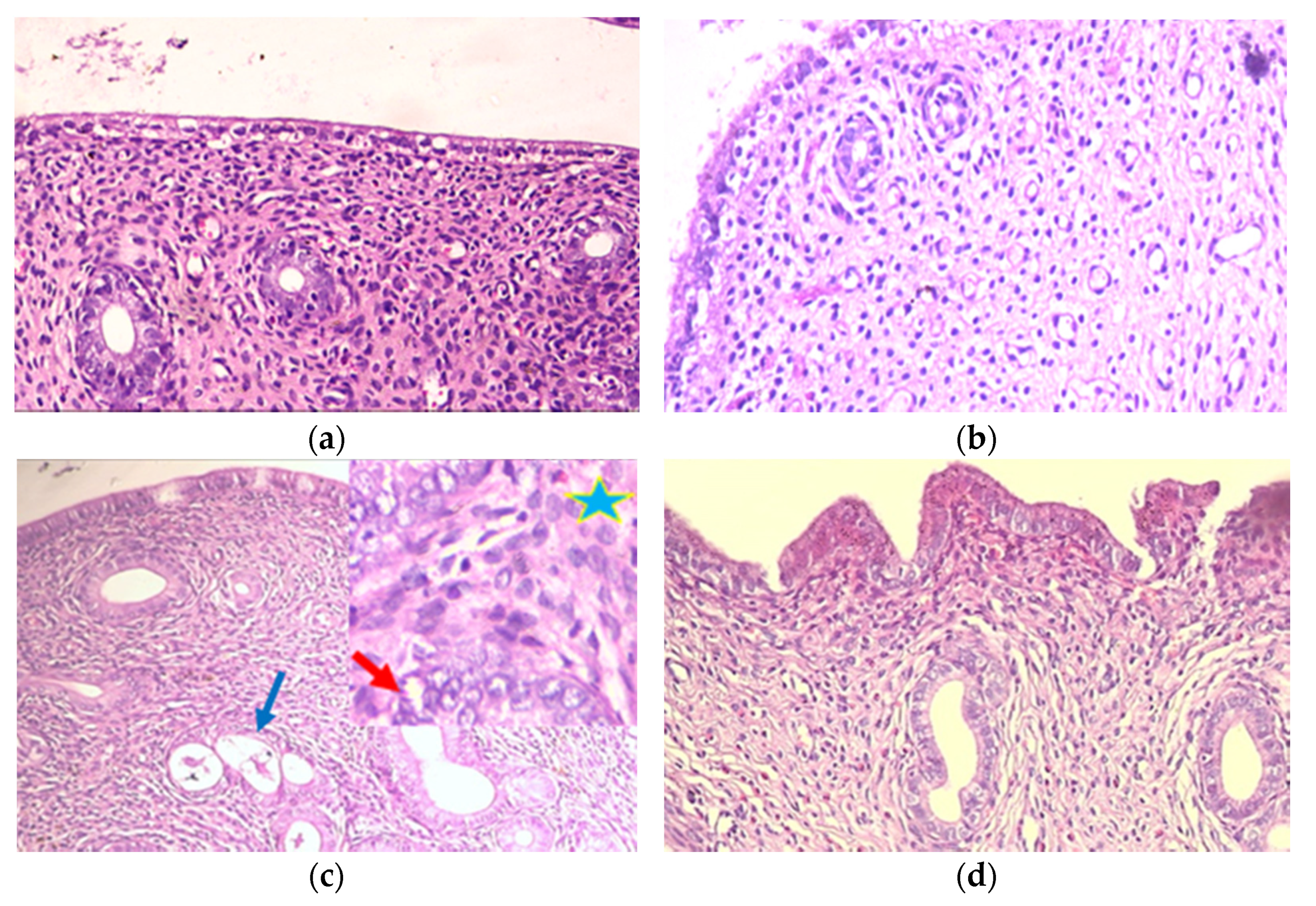Pharmaceuticals 14 00649 g001