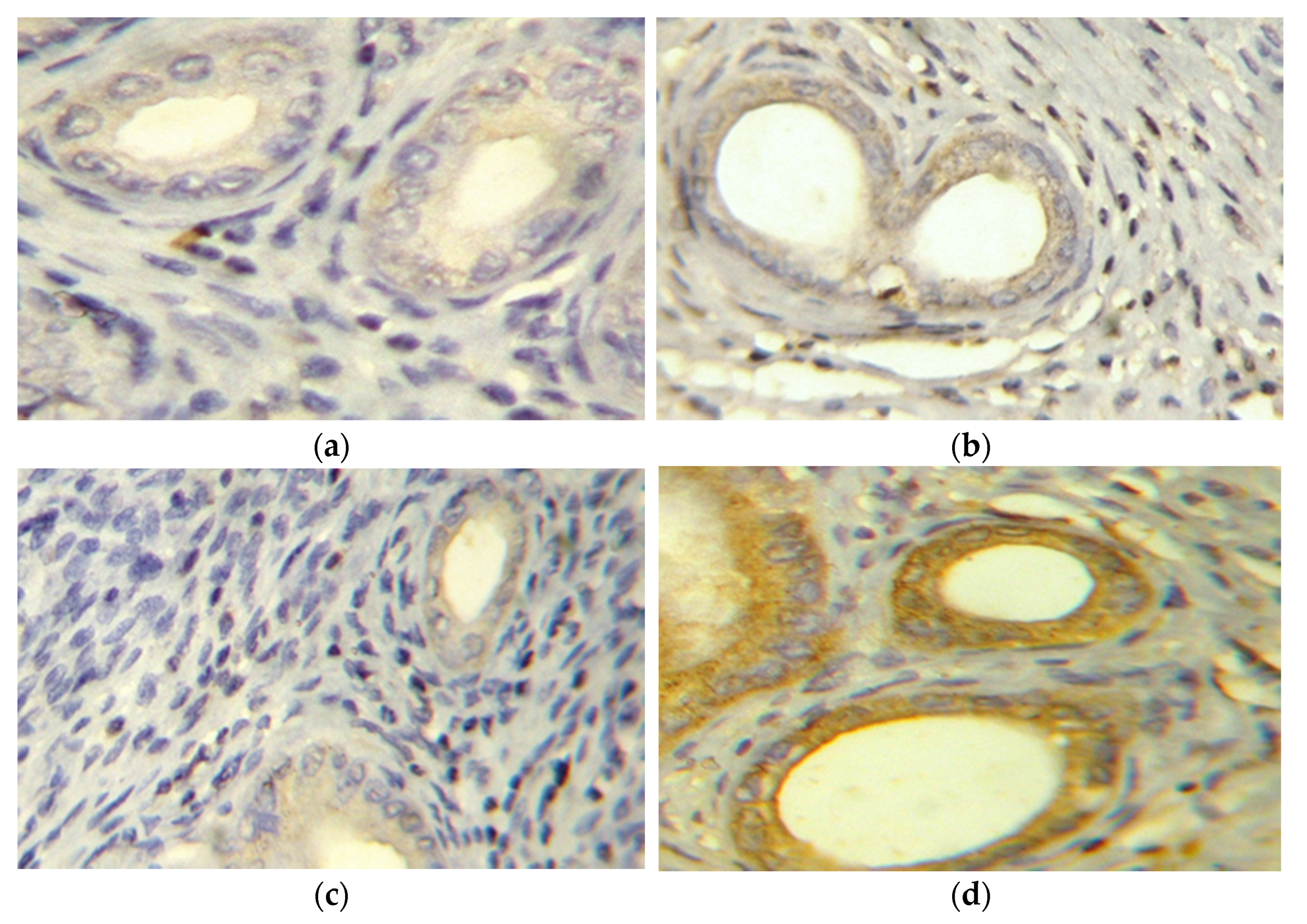 Pharmaceuticals 14 00649 g004a