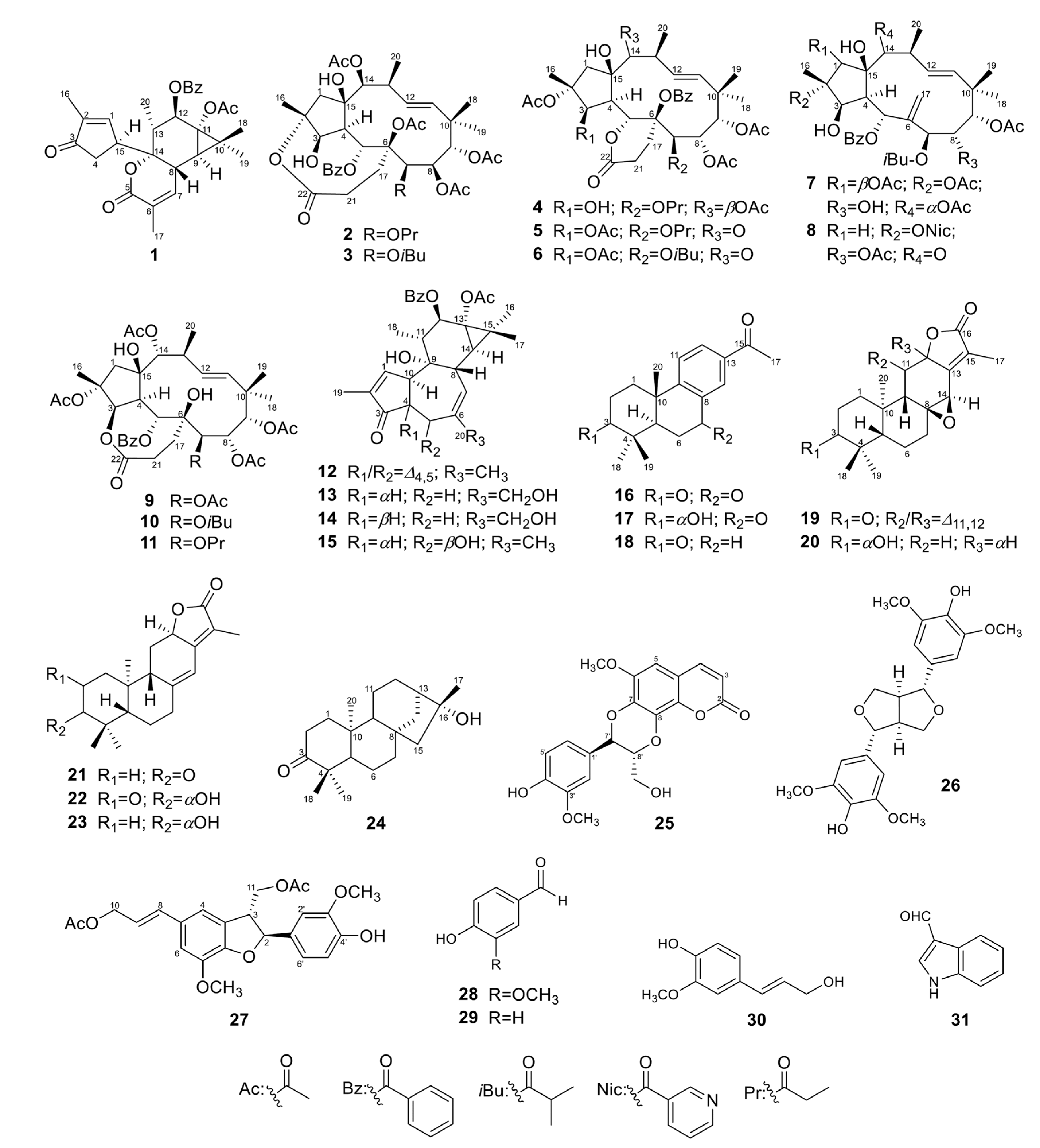 Pharmaceuticals 14 00653 g002