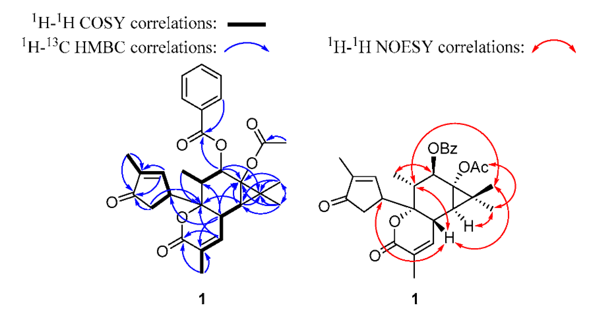 Pharmaceuticals 14 00653 g003