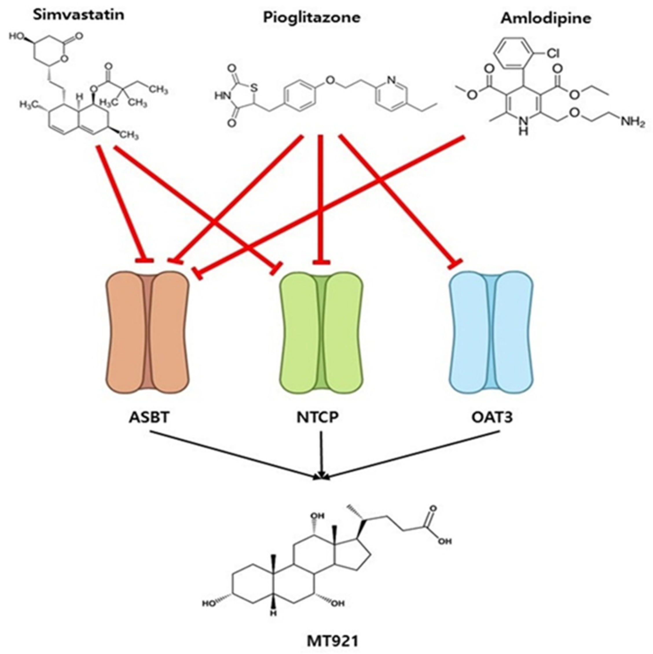 Pharmaceuticals 14 00654 g004
