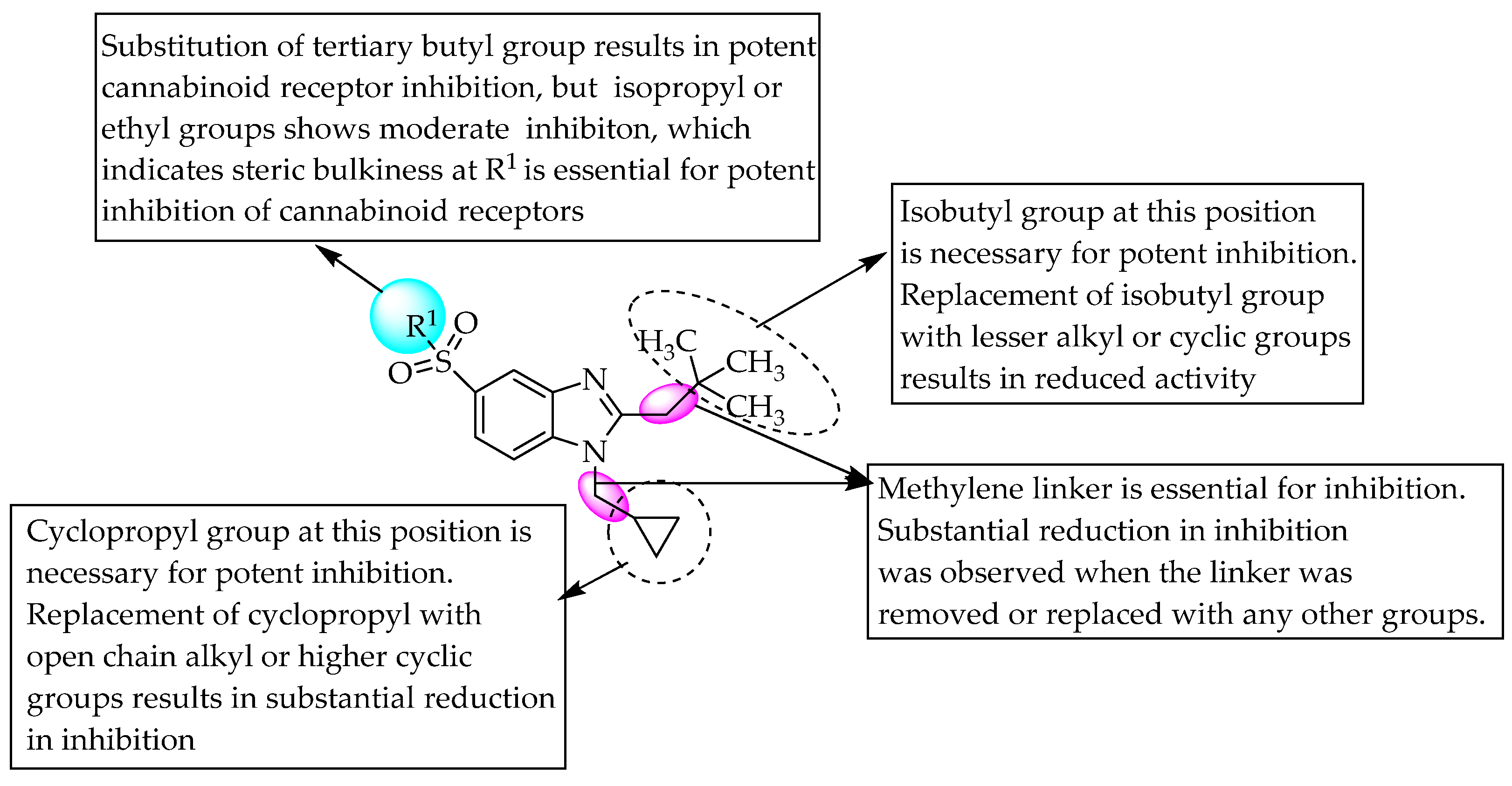 Pharmaceuticals 14 00663 g008 Pharmaceuticals 14 00663 g008