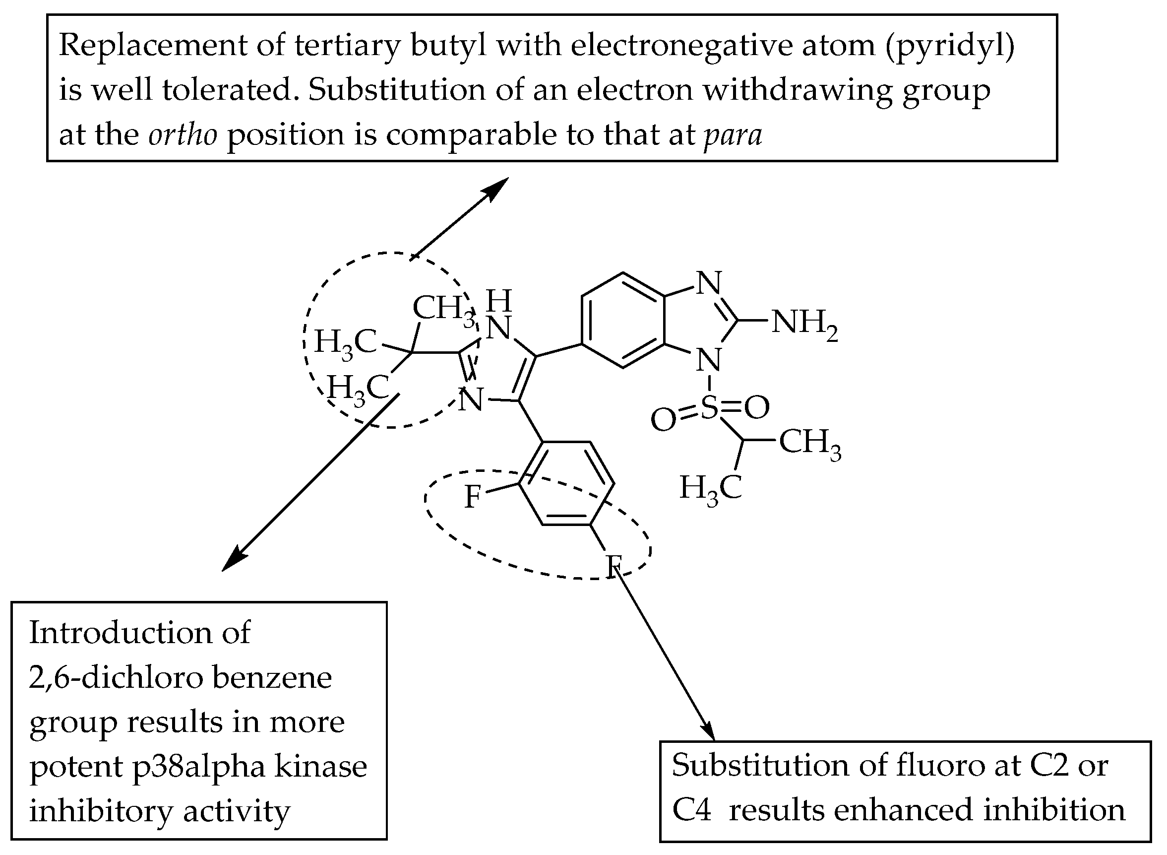 Pharmaceuticals 14 00663 g016 Pharmaceuticals 14 00663 g016