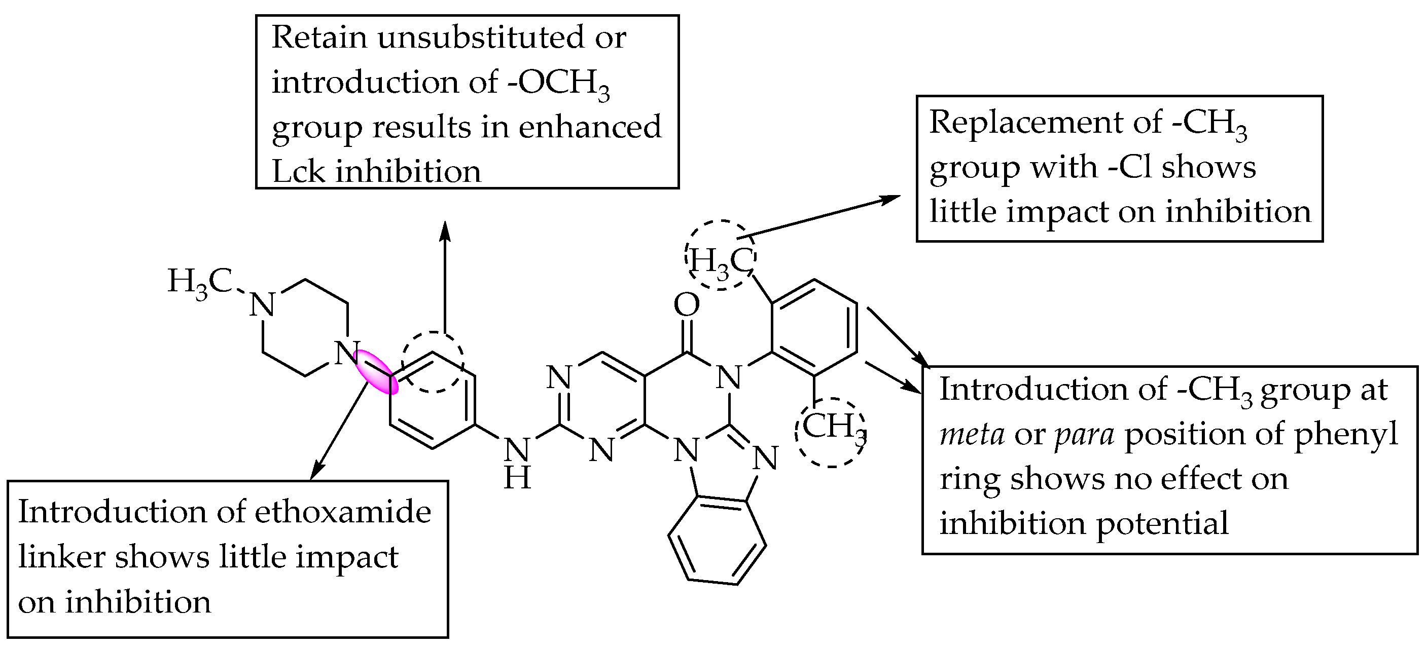 Pharmaceuticals 14 00663 g021 Pharmaceuticals 14 00663 g021
