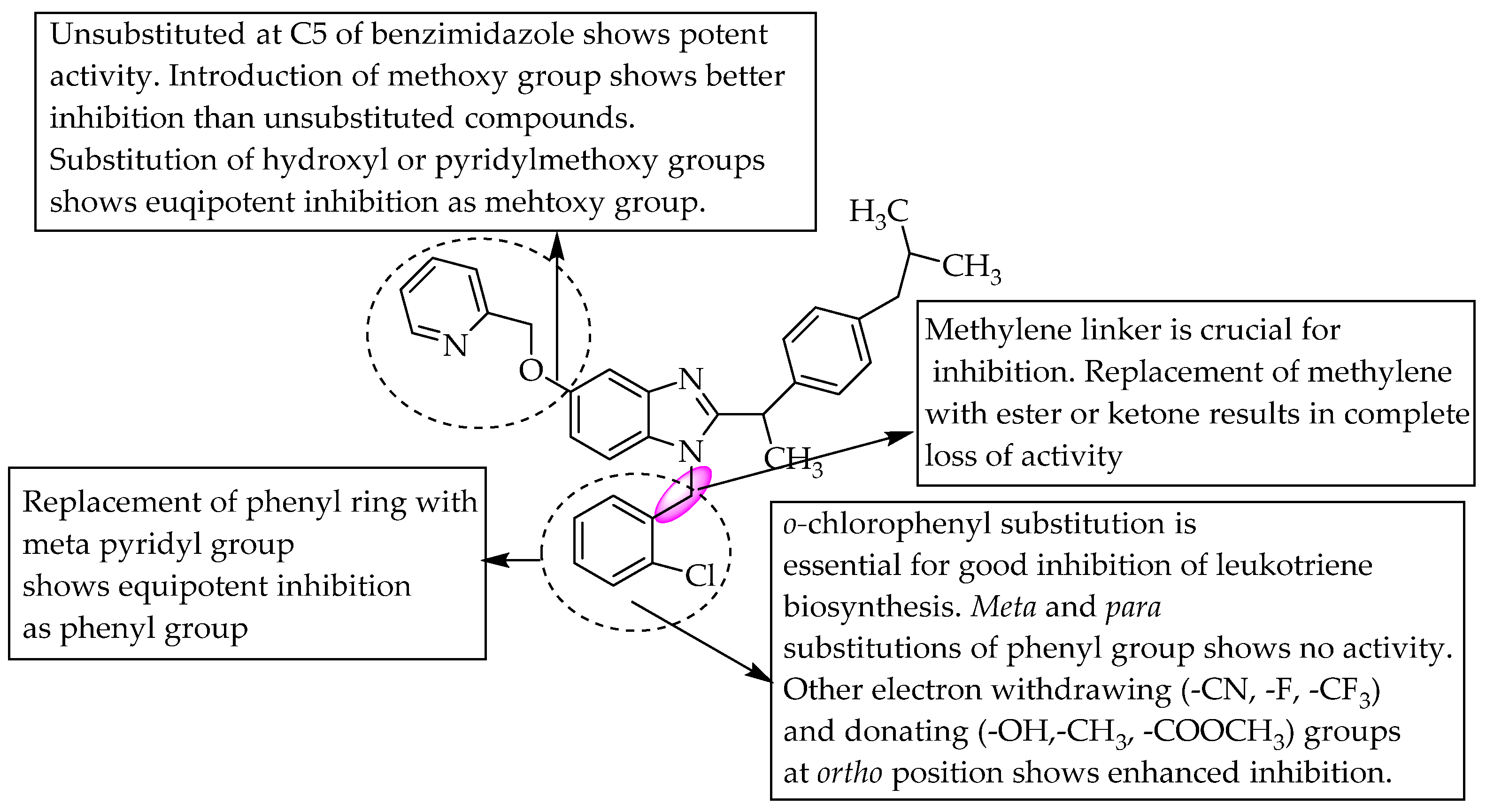 Pharmaceuticals 14 00663 g023 Pharmaceuticals 14 00663 g023
