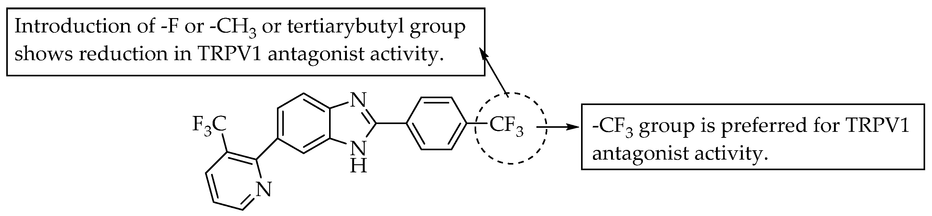 Pharmaceuticals 14 00663 g025 Pharmaceuticals 14 00663 g025