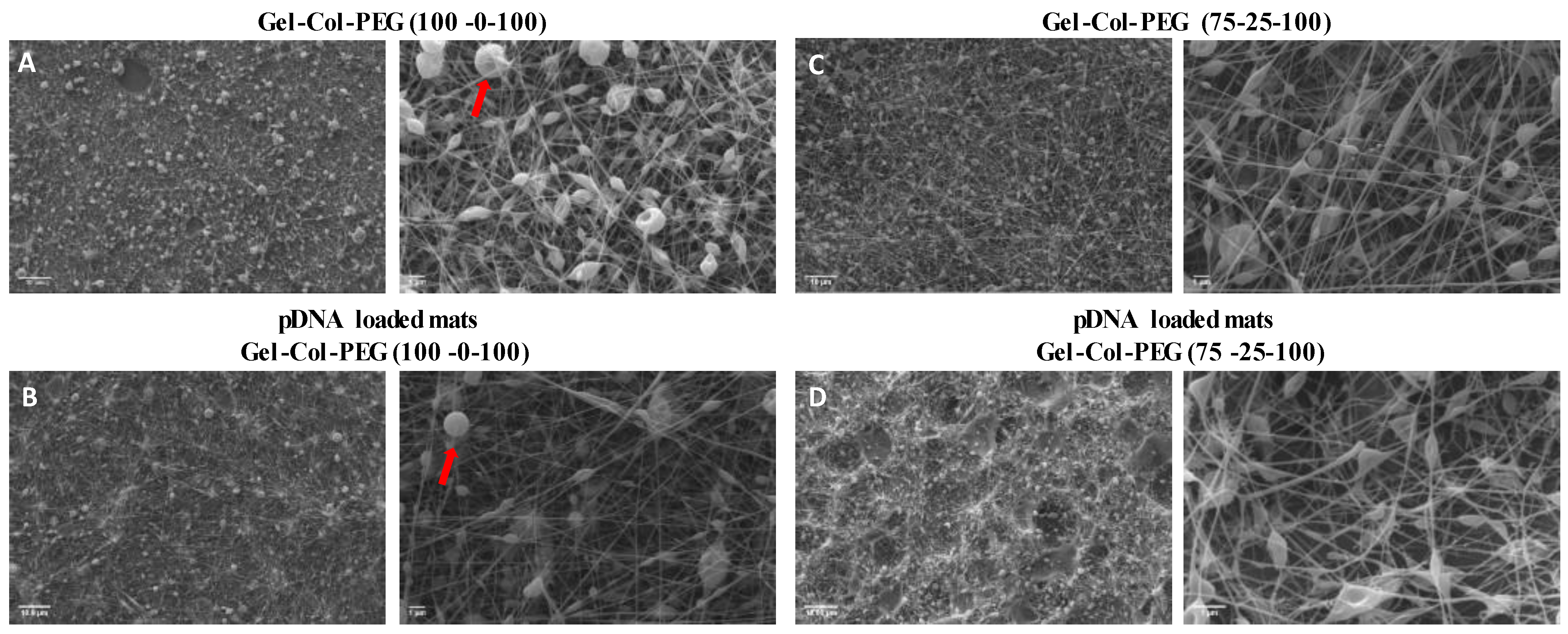 Pharmaceuticals 14 00666 g001a