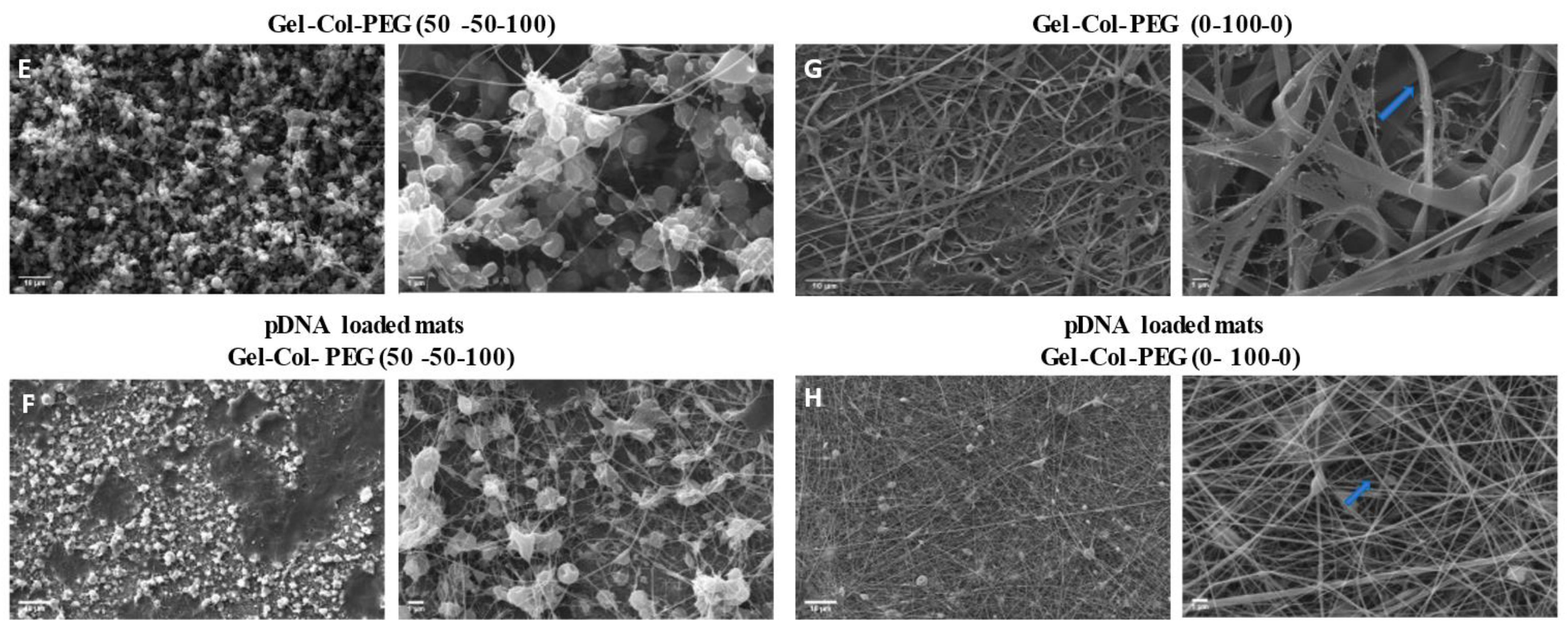 Pharmaceuticals 14 00666 g001b