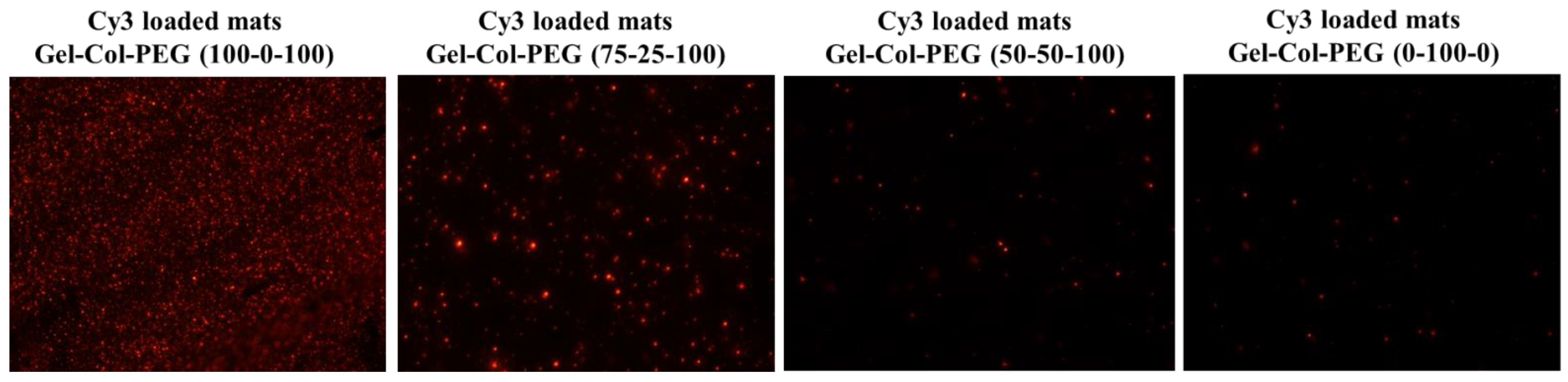 Pharmaceuticals 14 00666 g002