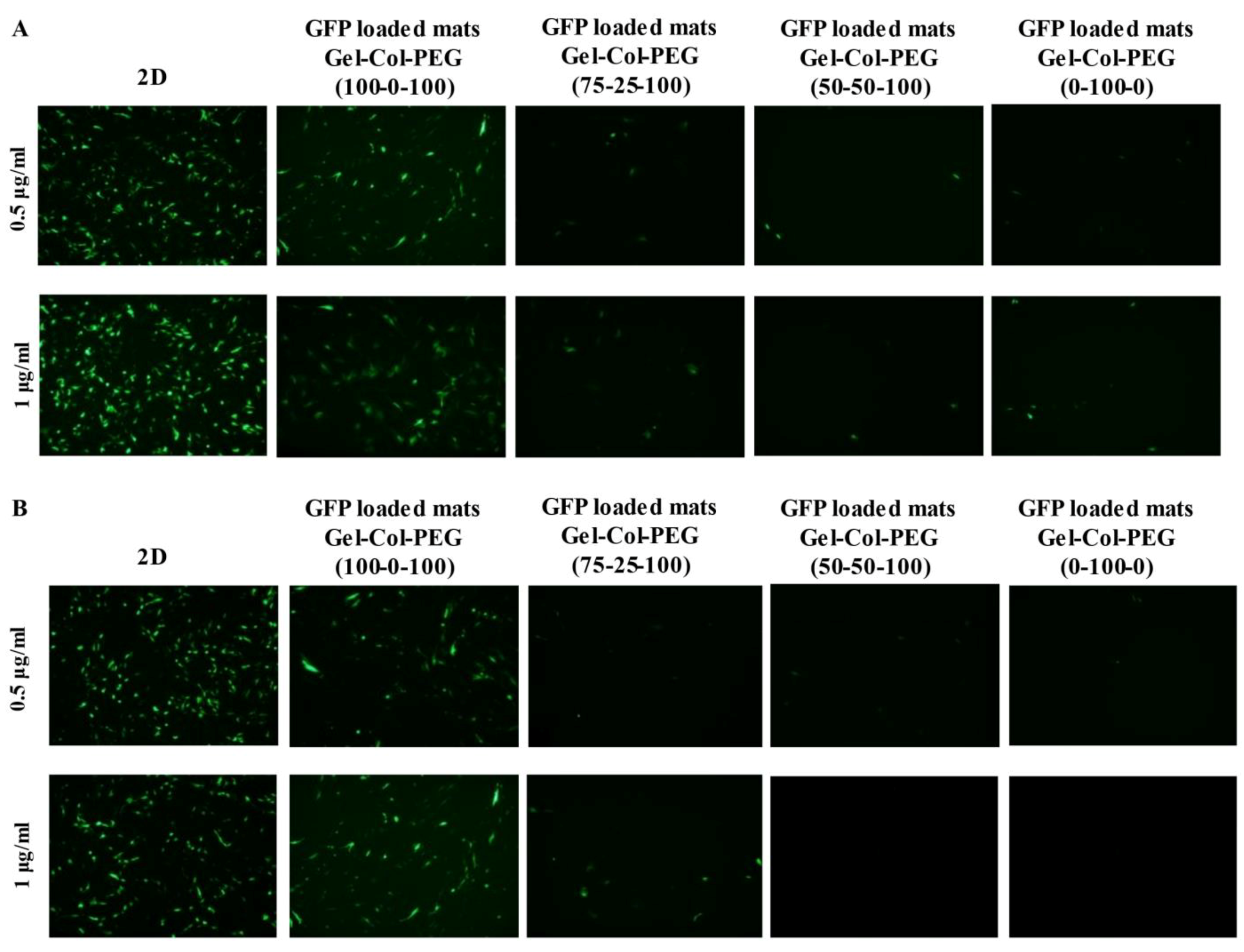 Pharmaceuticals 14 00666 g003
