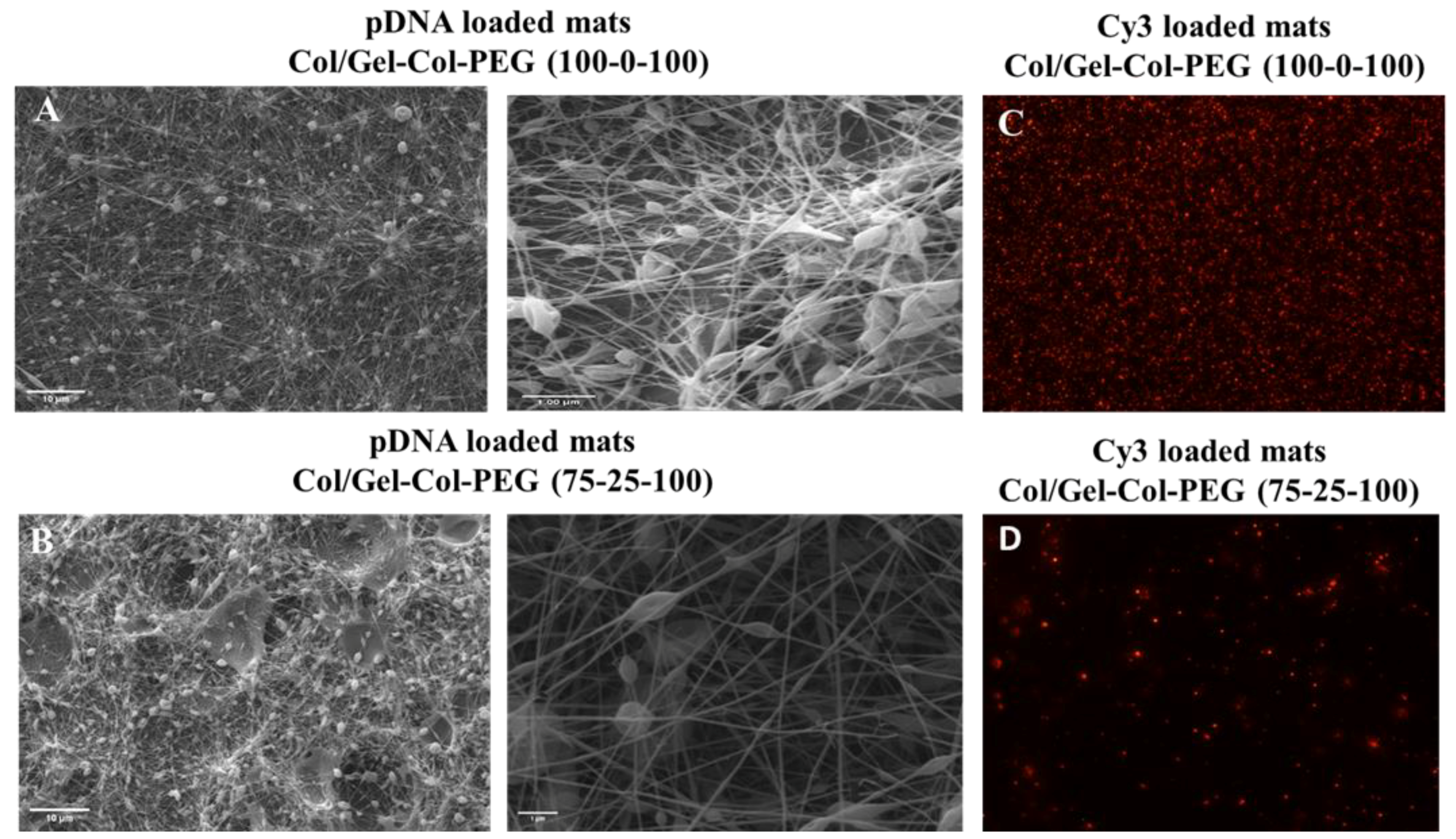 Pharmaceuticals 14 00666 g005