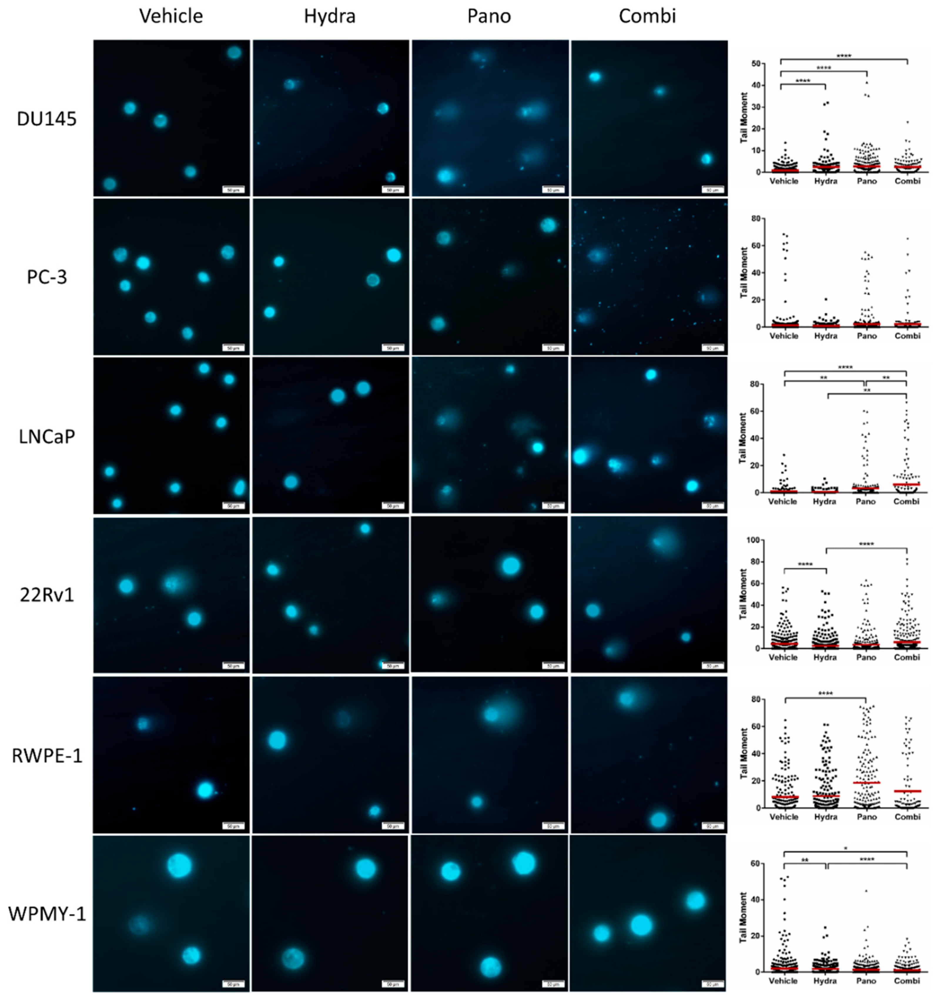 Pharmaceuticals 14 00670 g004