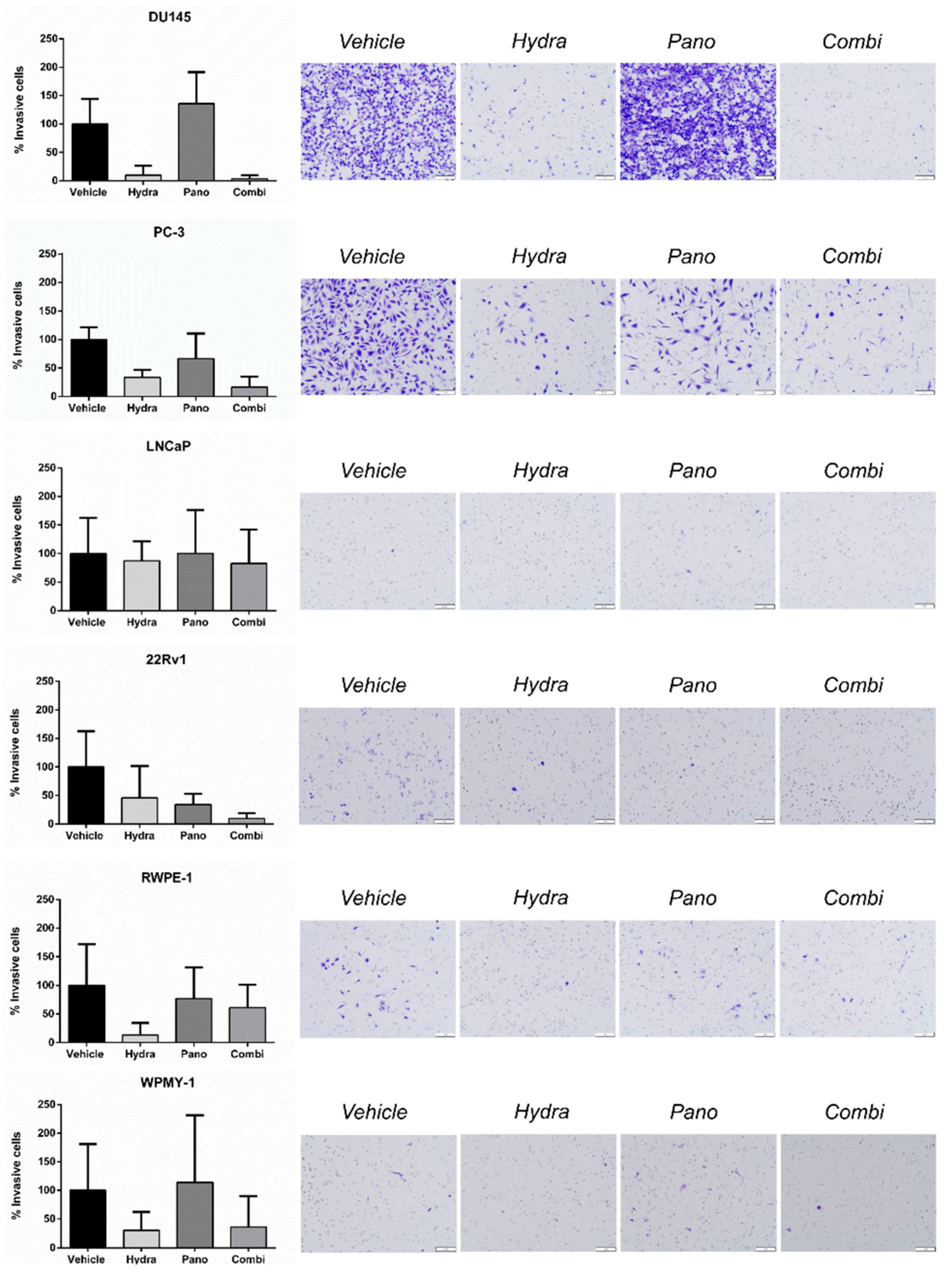 Pharmaceuticals 14 00670 g006