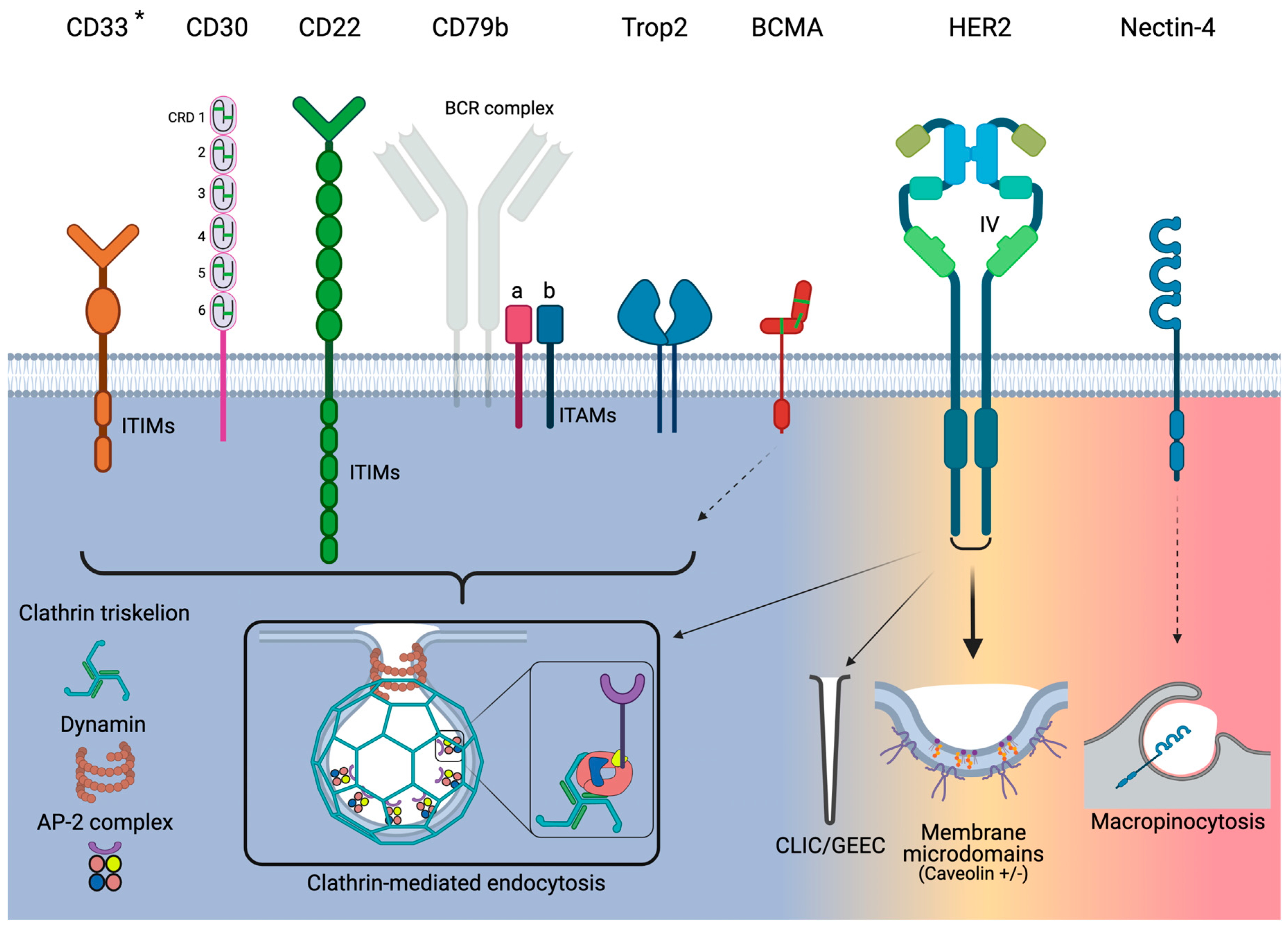 Pharmaceuticals 14 00674 g001