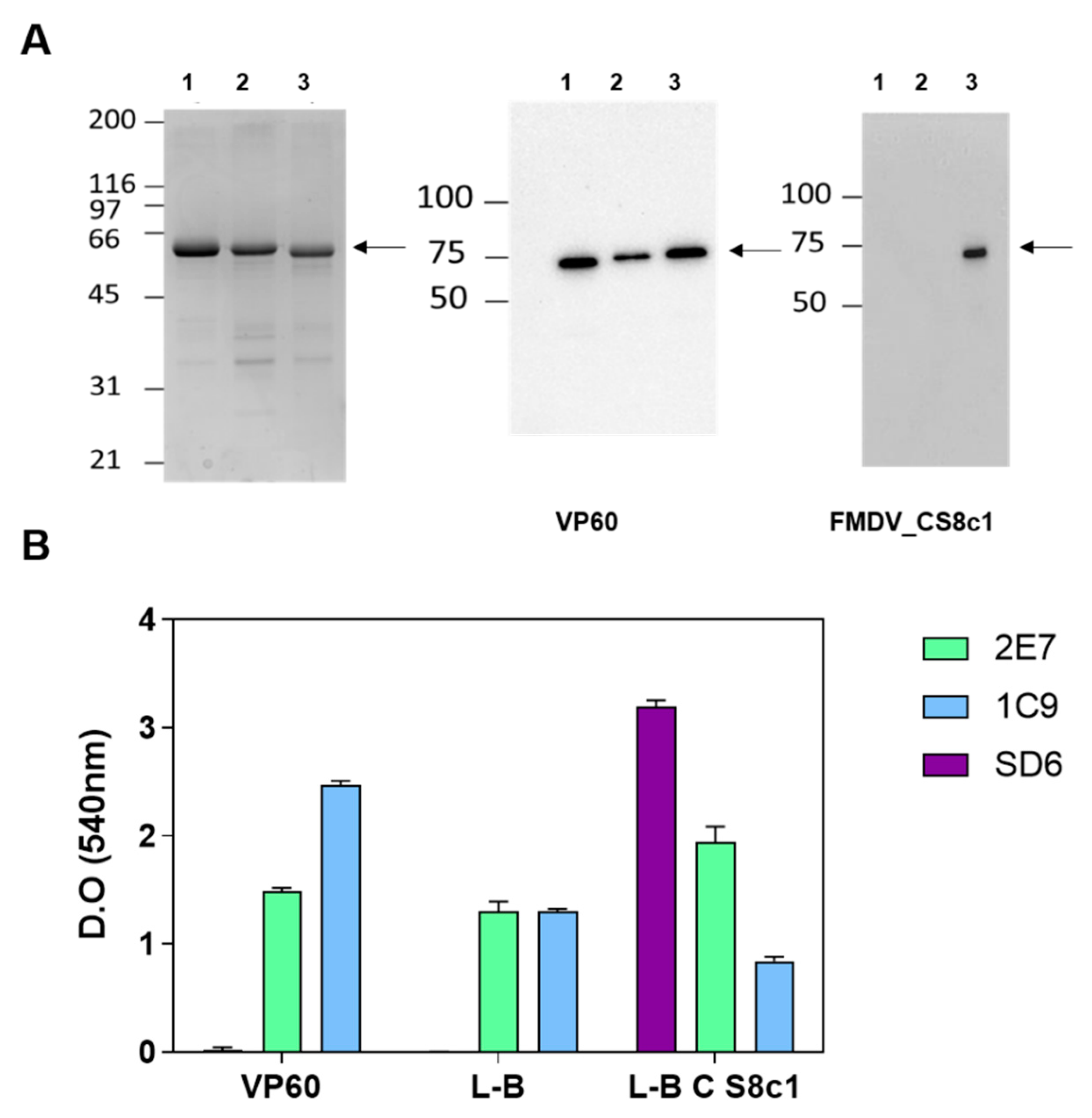 Pharmaceuticals 14 00675 g003