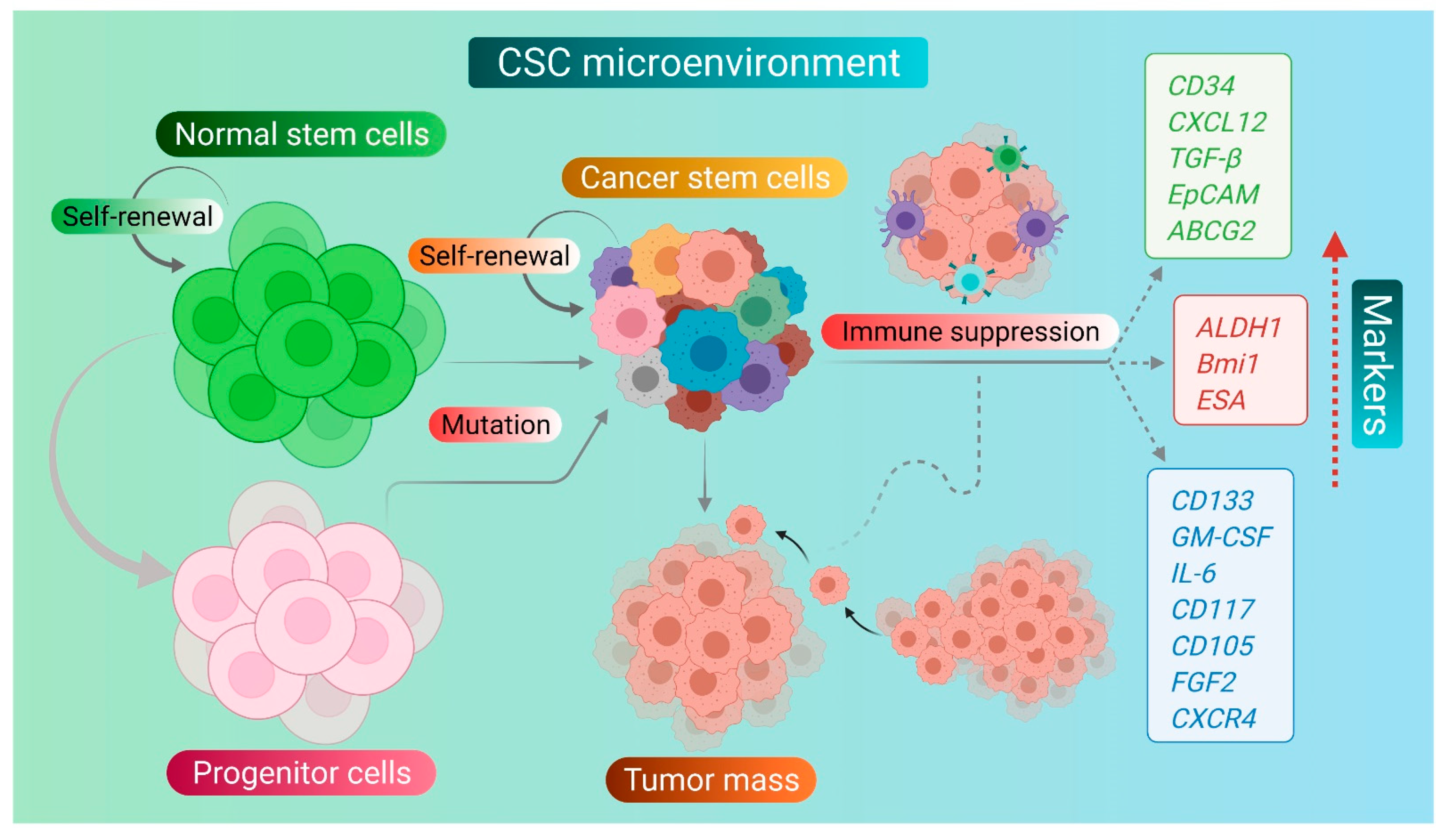 Pharmaceuticals 14 00676 g001