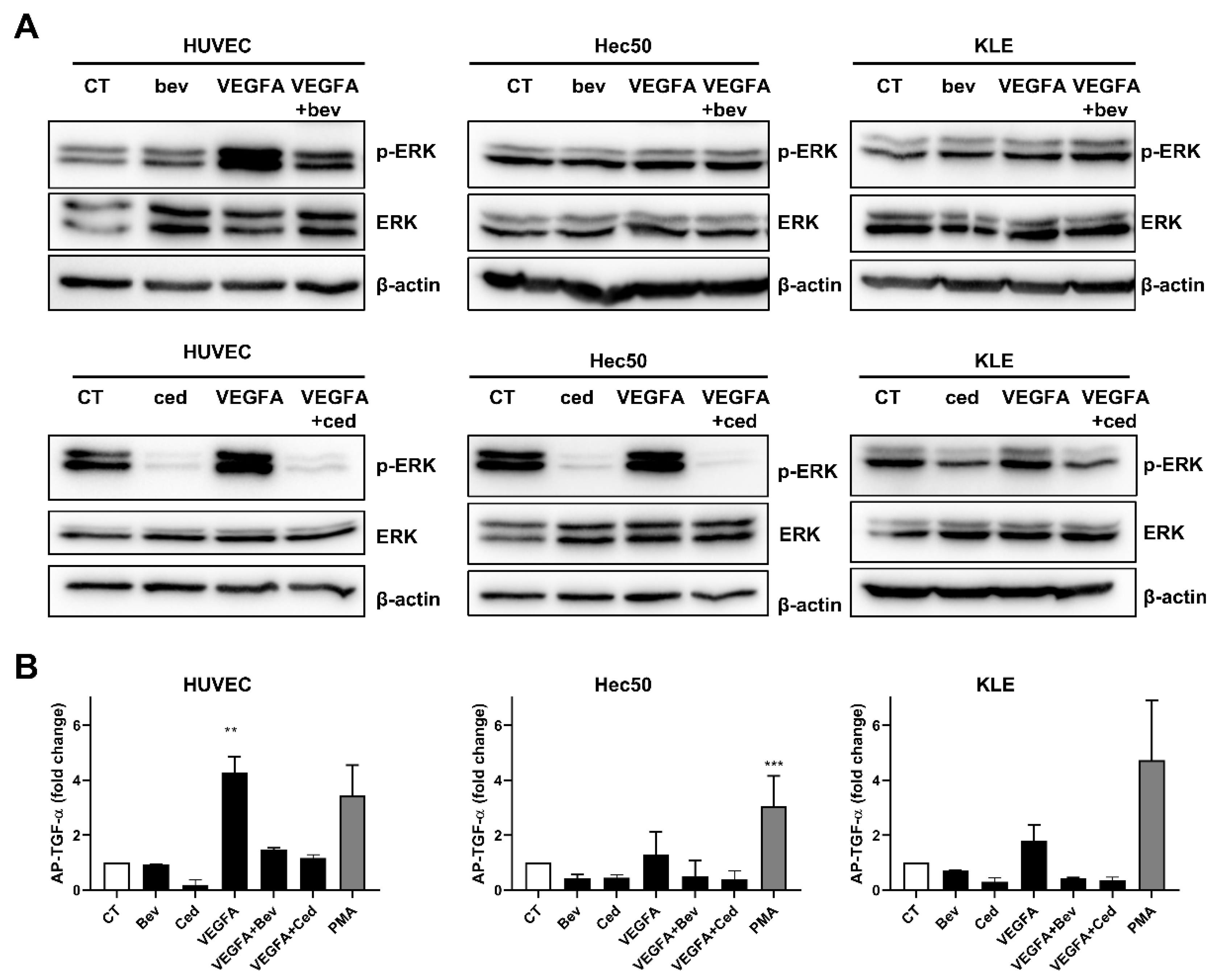 Pharmaceuticals 14 00682 g001