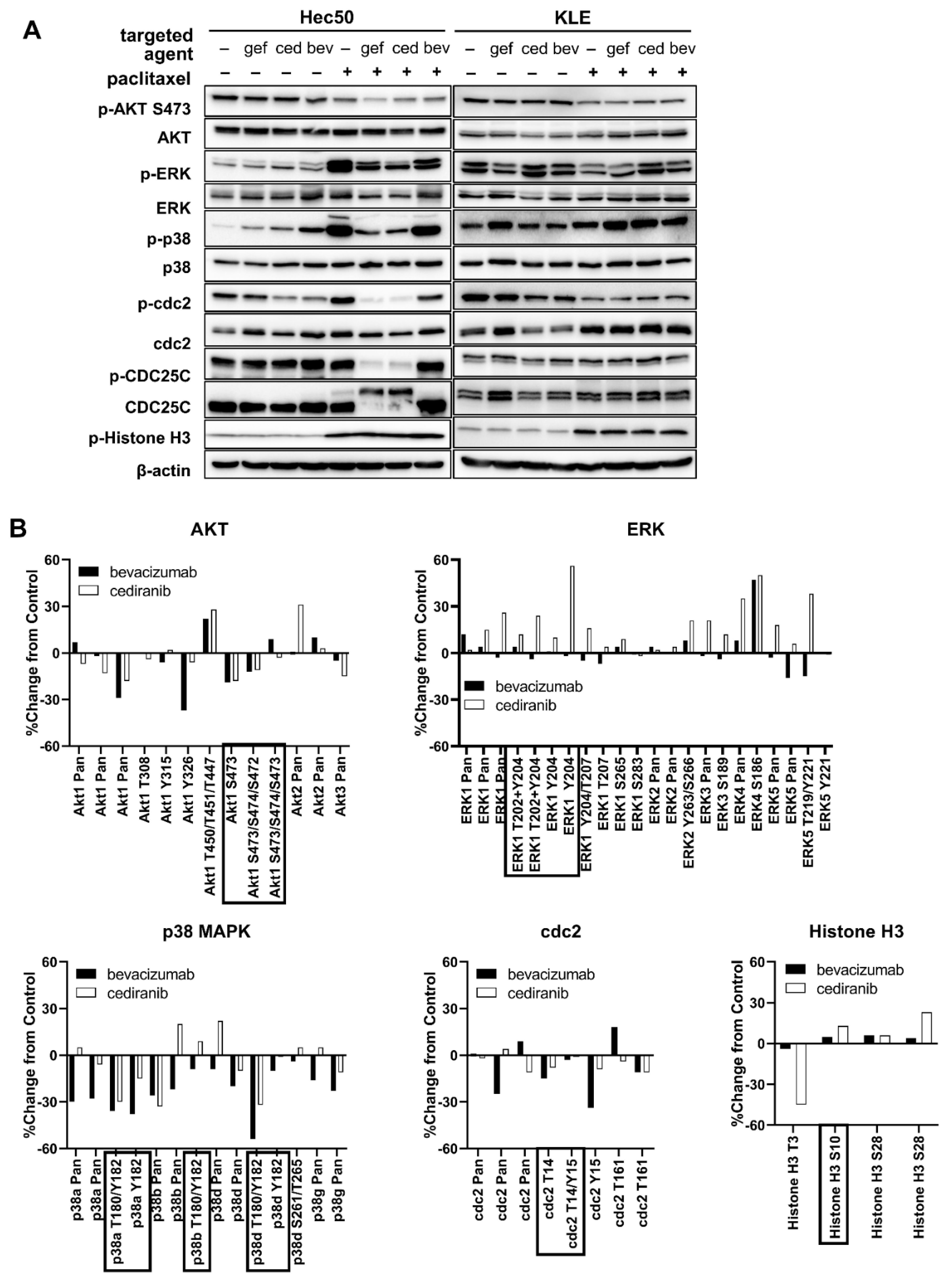 Pharmaceuticals 14 00682 g005