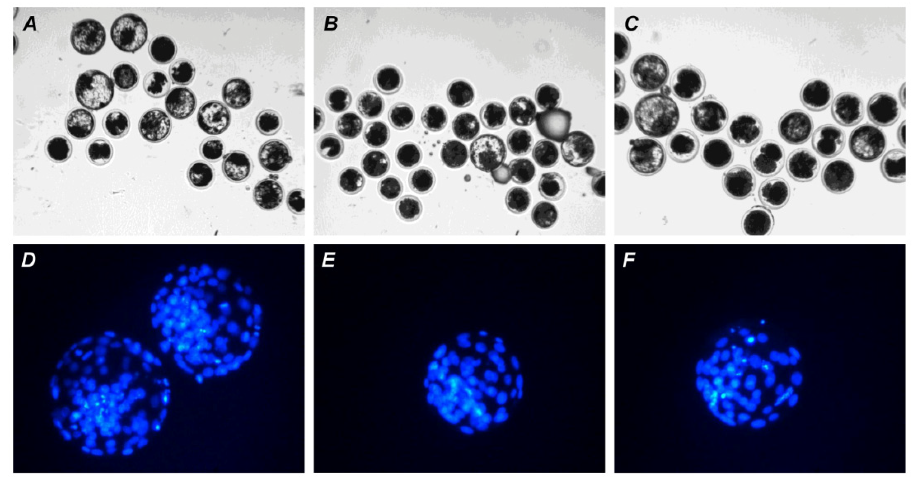 Pharmaceuticals 14 00684 g010