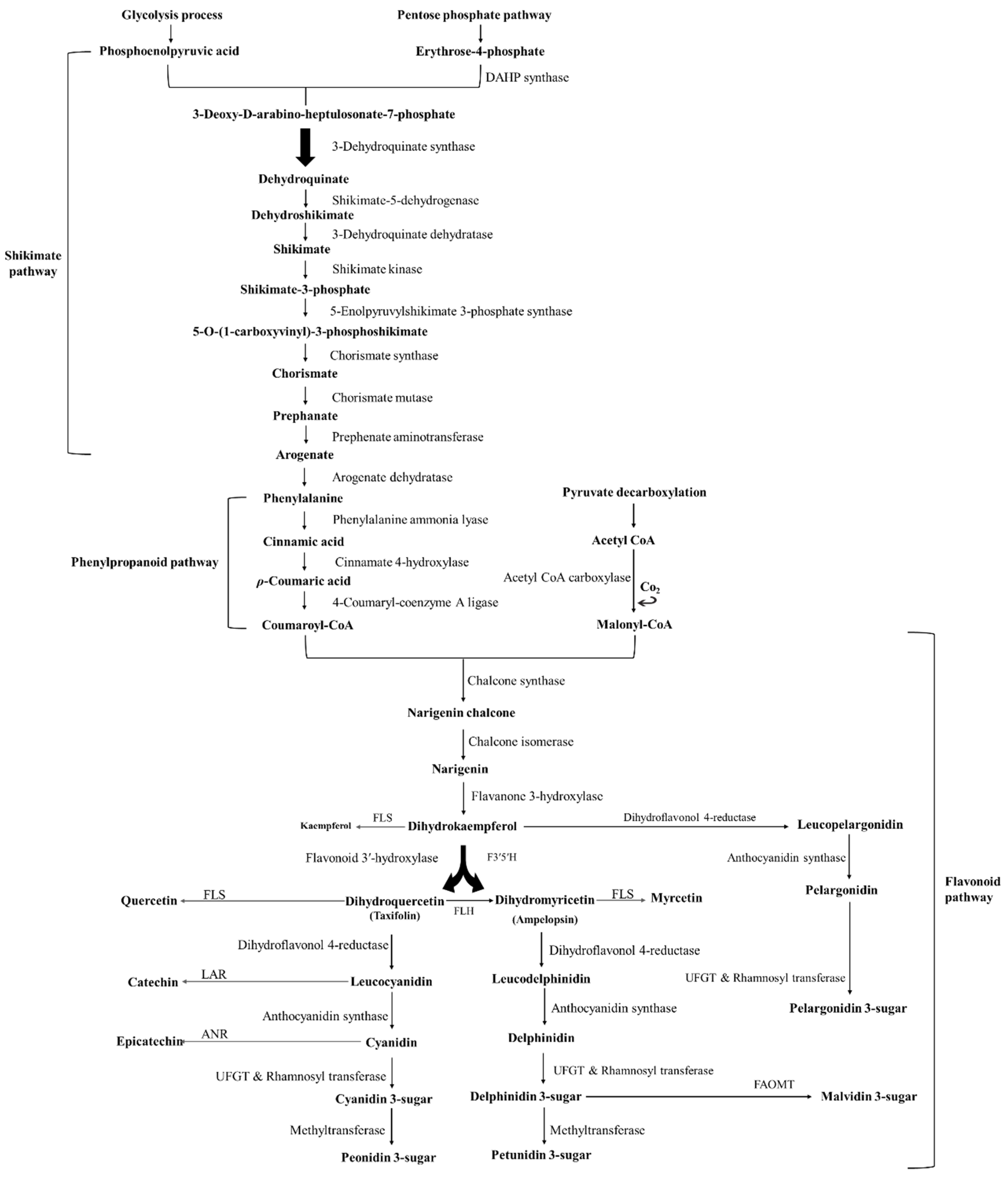 Pharmaceuticals 14 00690 g001 Pharmaceuticals 14 00690 g001