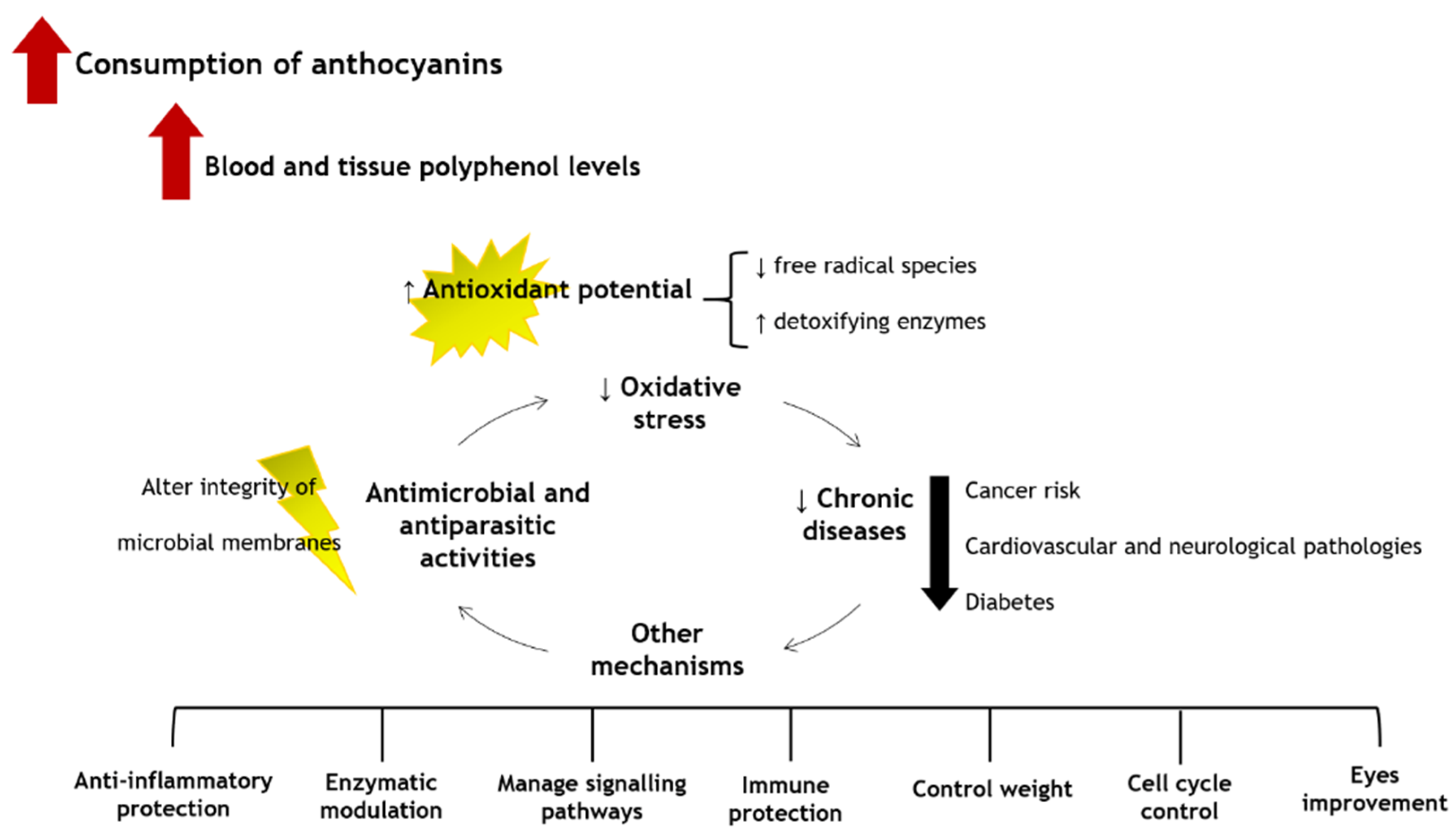 Pharmaceuticals 14 00690 g005 Pharmaceuticals 14 00690 g005