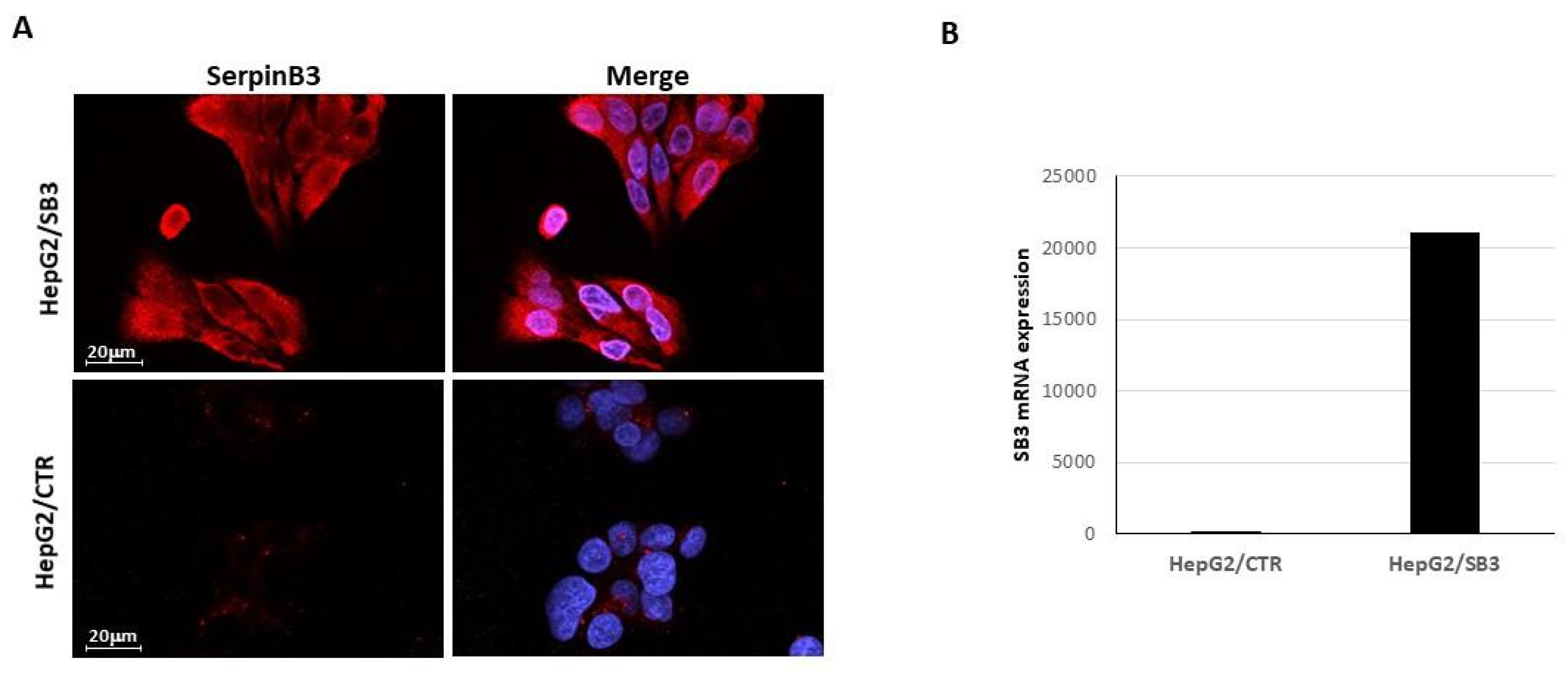 Pharmaceuticals 14 00703 g001