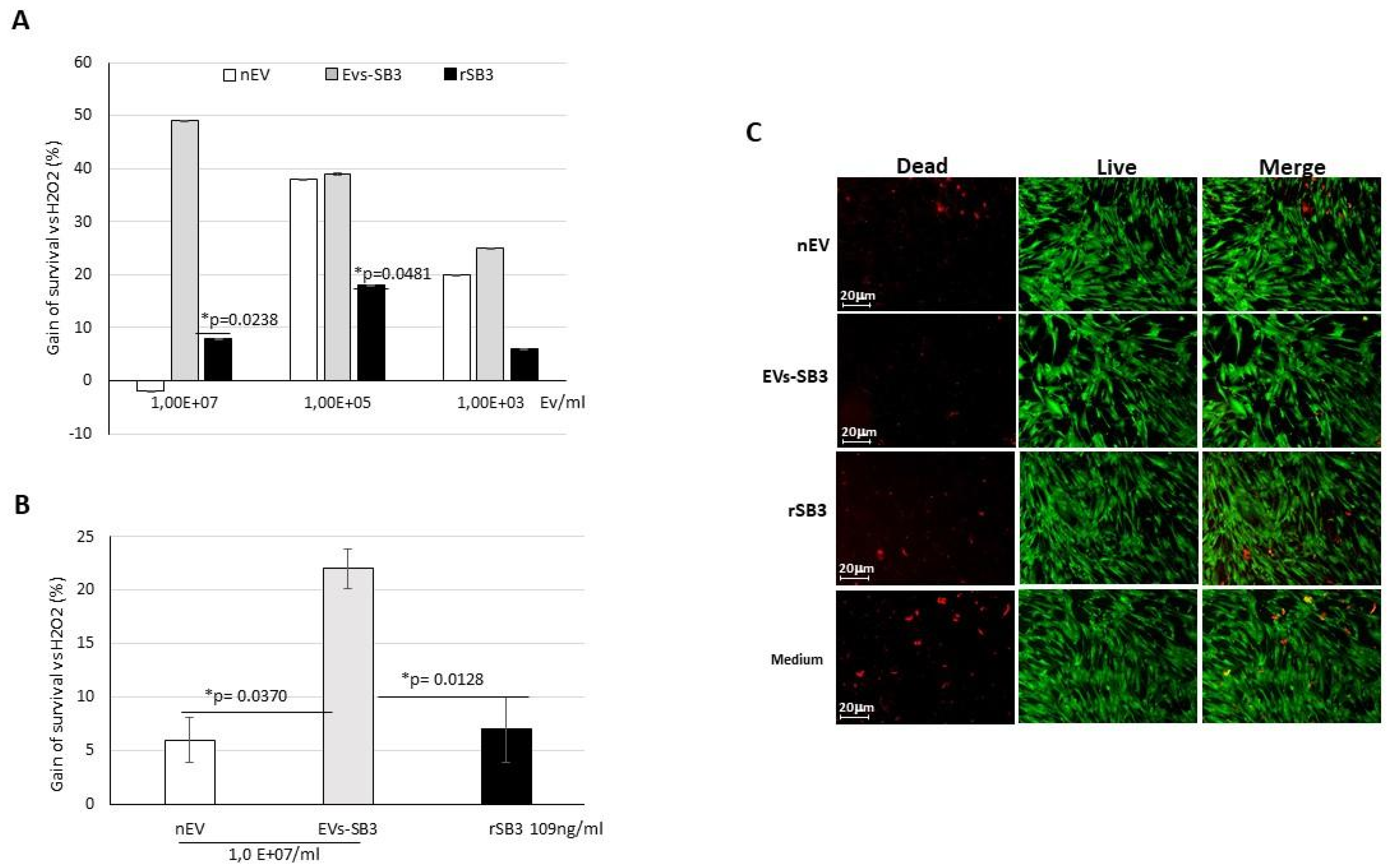 Pharmaceuticals 14 00703 g005