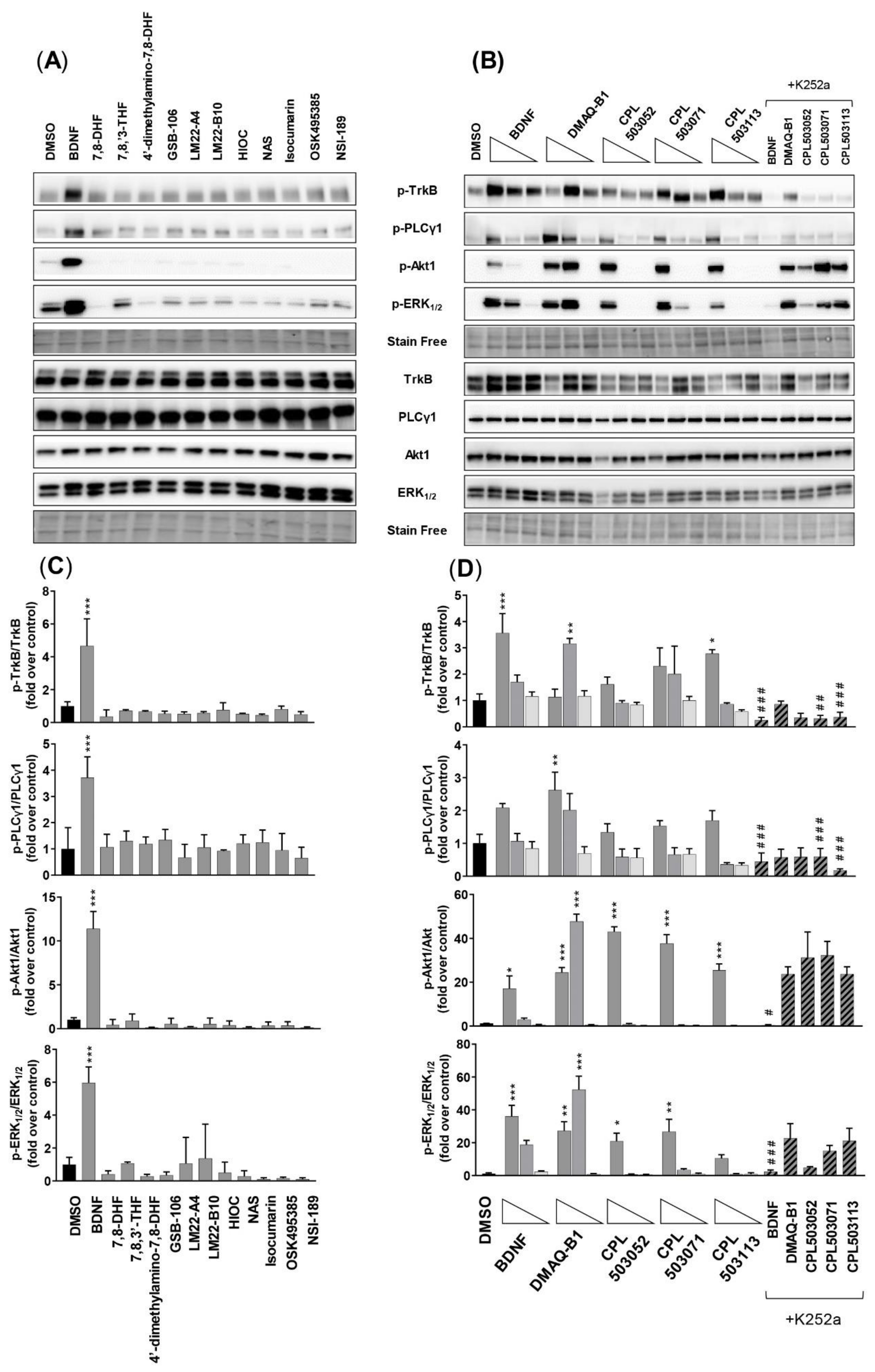 Pharmaceuticals 14 00704 g005