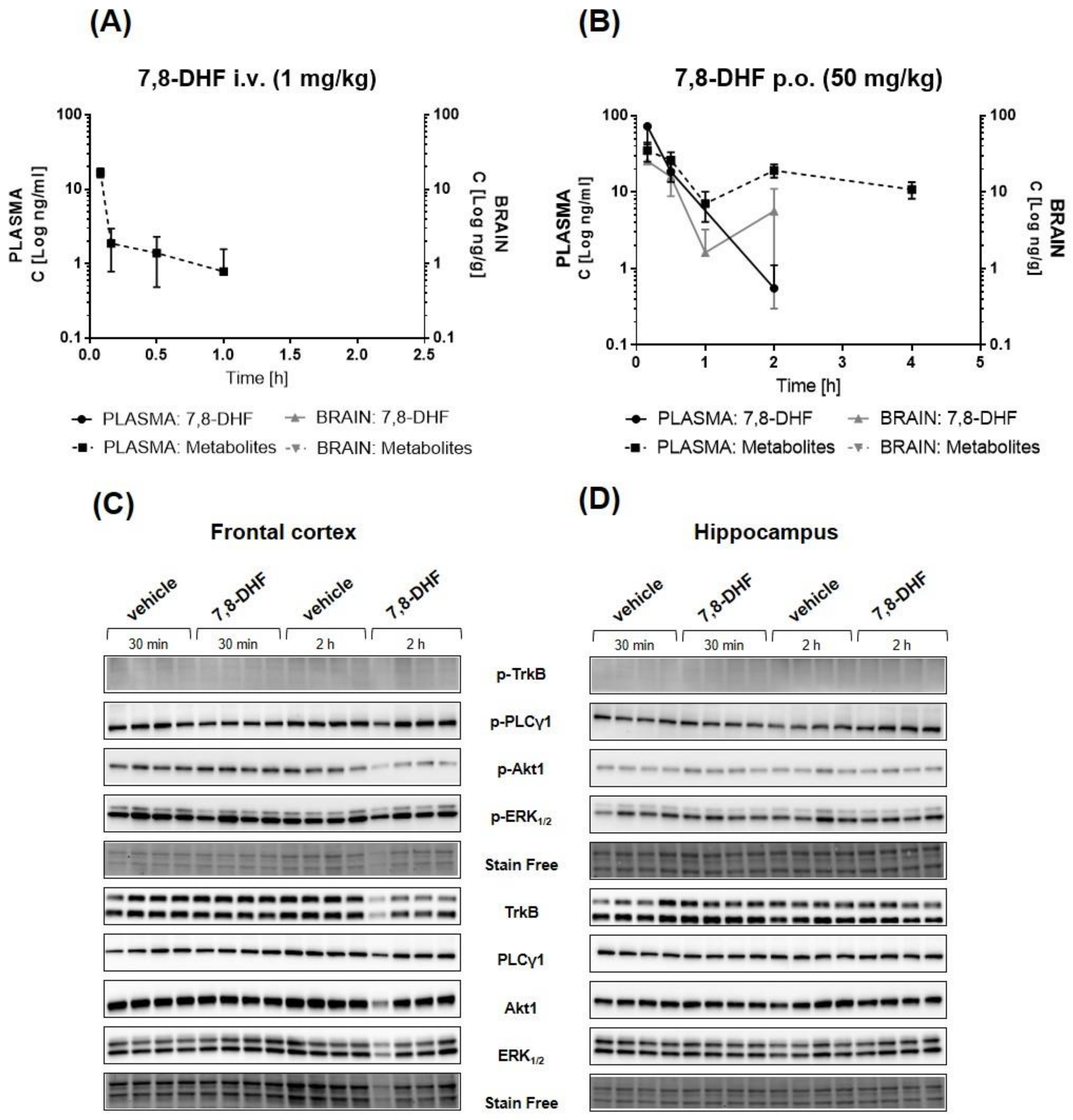 Pharmaceuticals 14 00704 g008