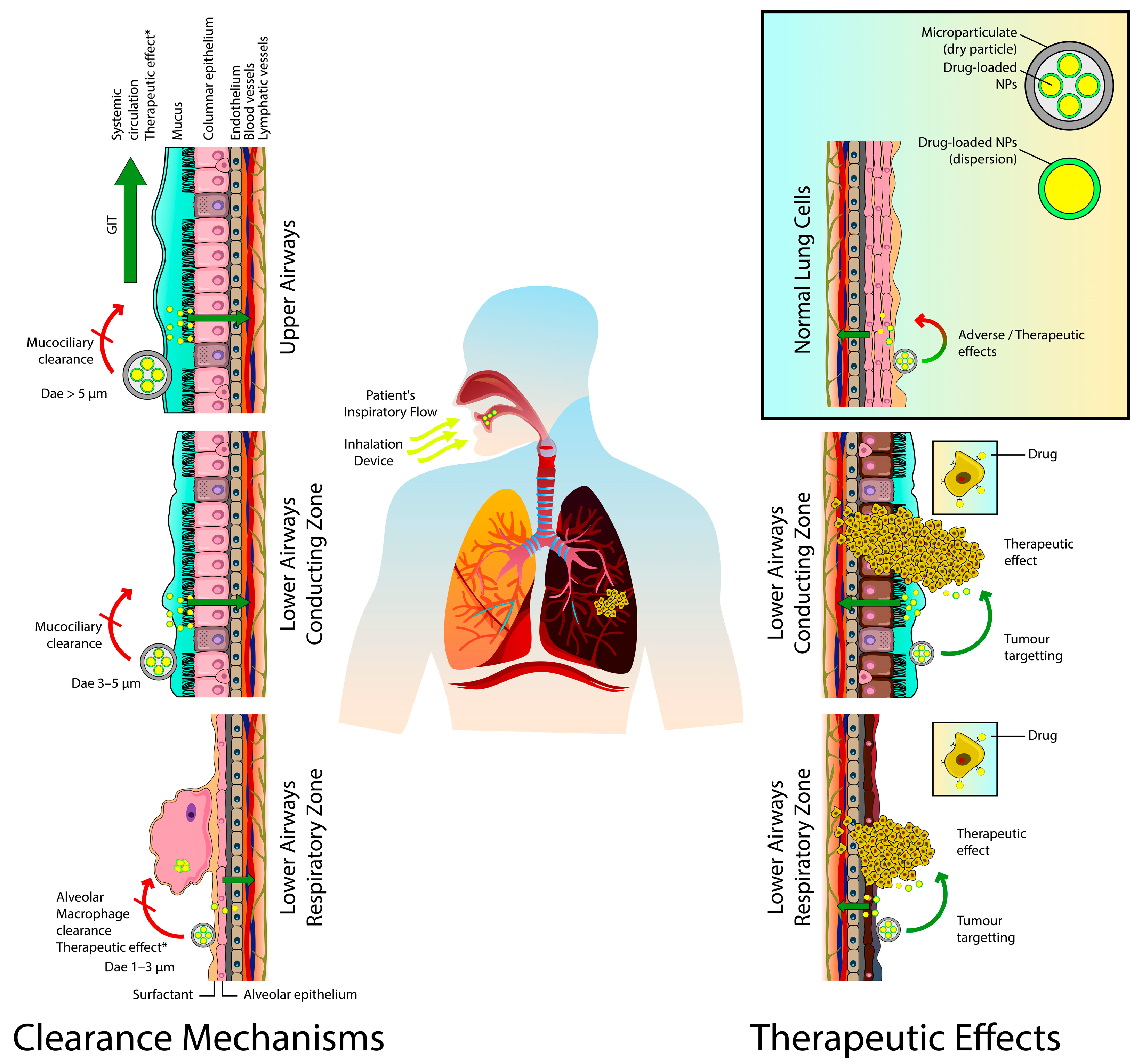 Pharmaceuticals 14 00725 g001 Pharmaceuticals 14 00725 g001