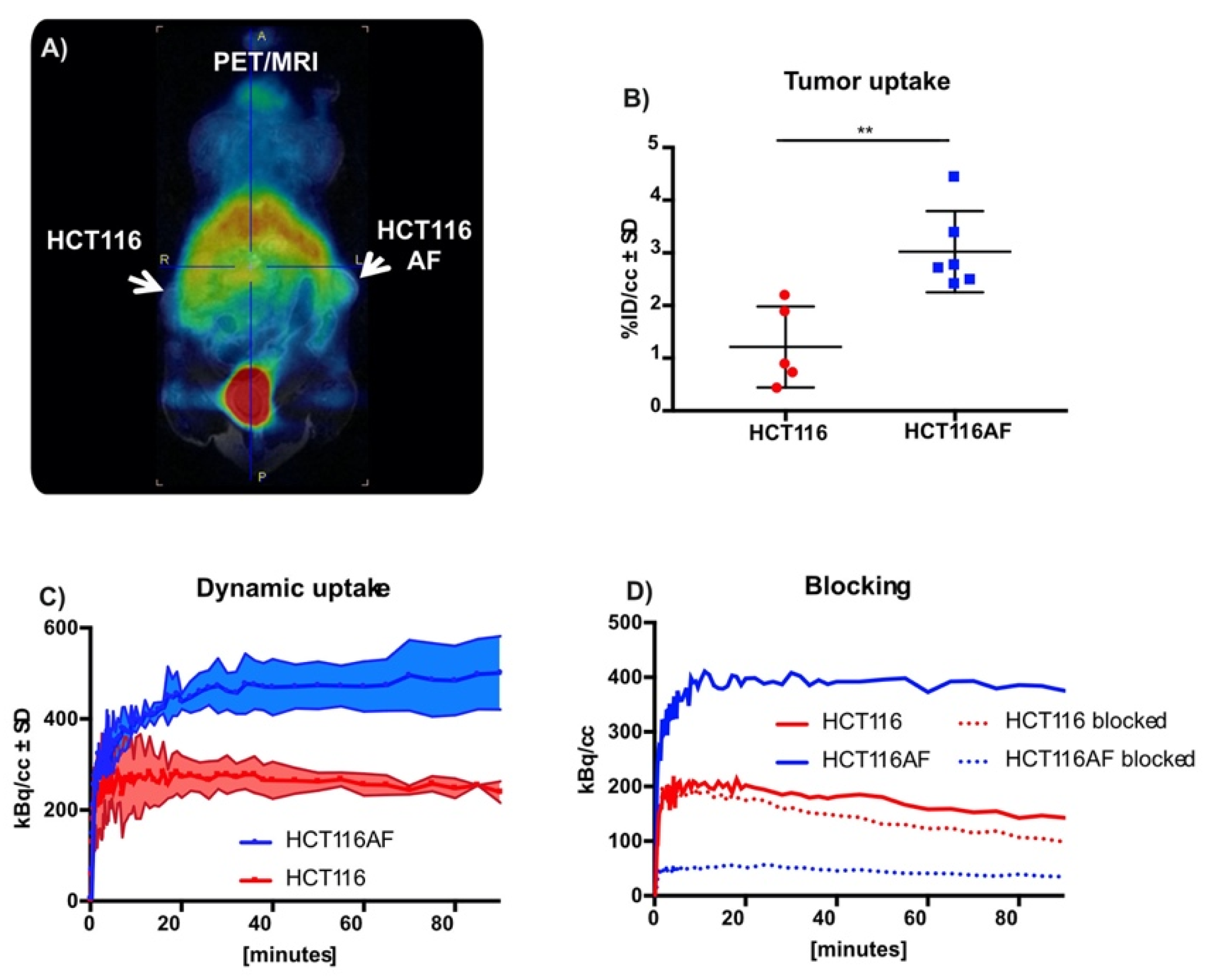 Pharmaceuticals 14 00745 g004