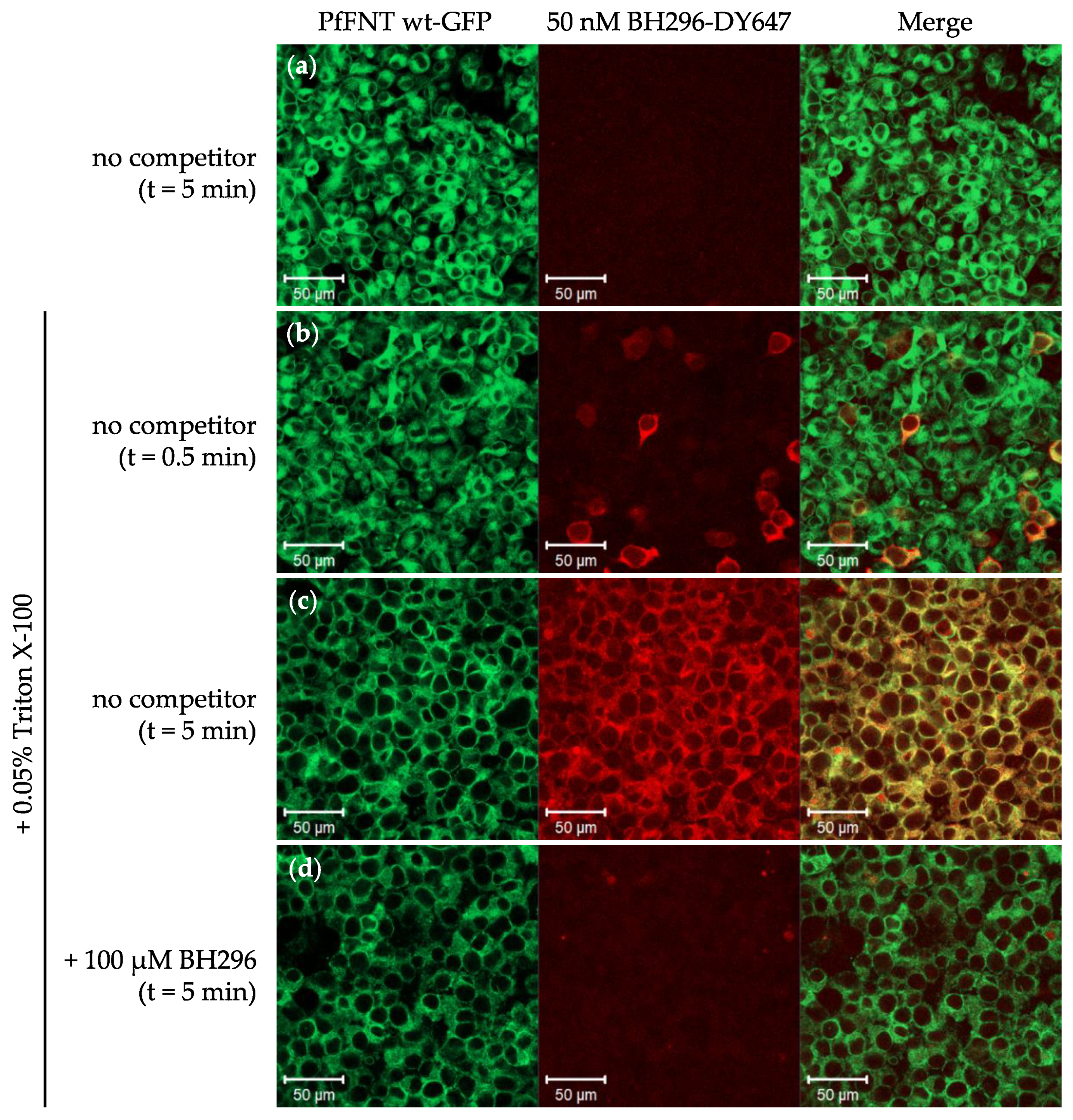Pharmaceuticals 14 00757 g002