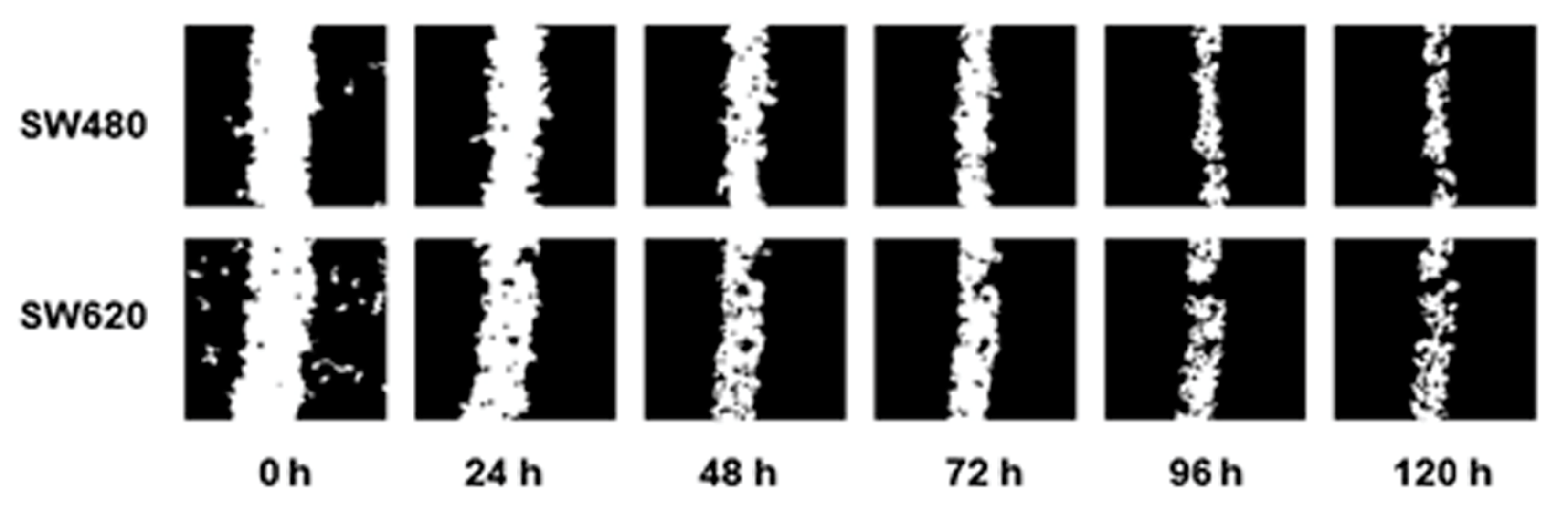 Pharmaceuticals 14 00761 g005