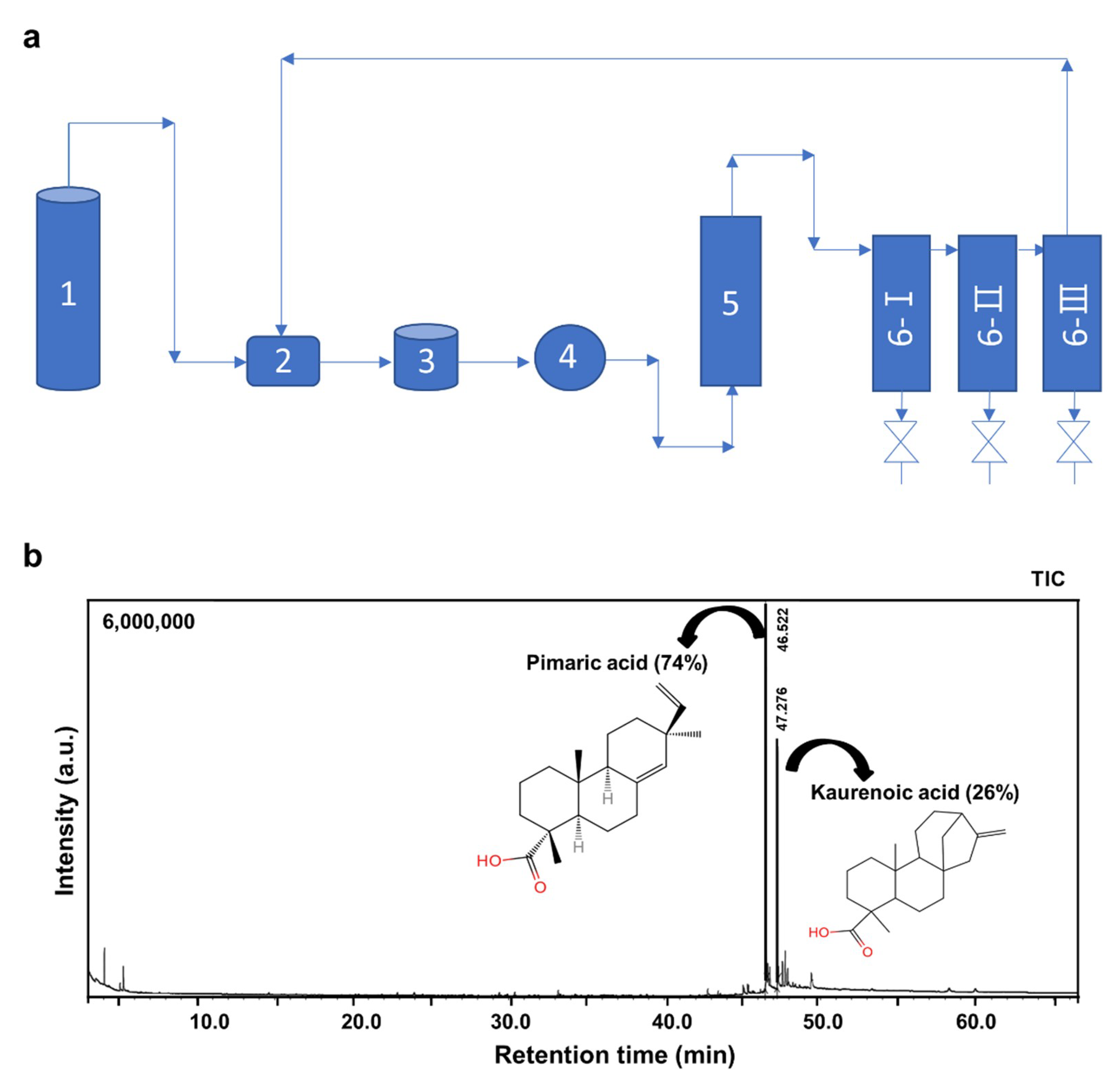 Pharmaceuticals 14 00776 g001