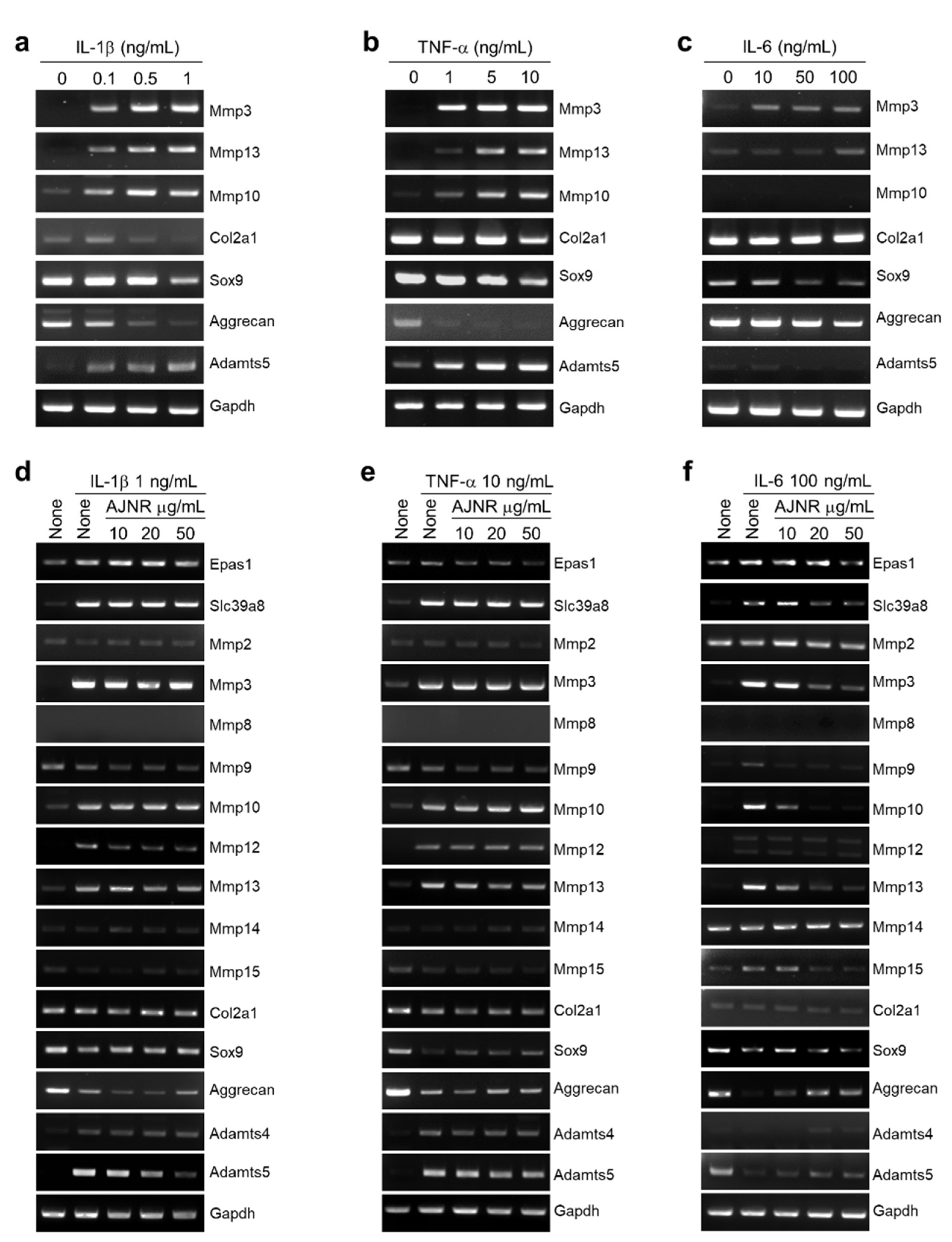 Pharmaceuticals 14 00776 g003a
