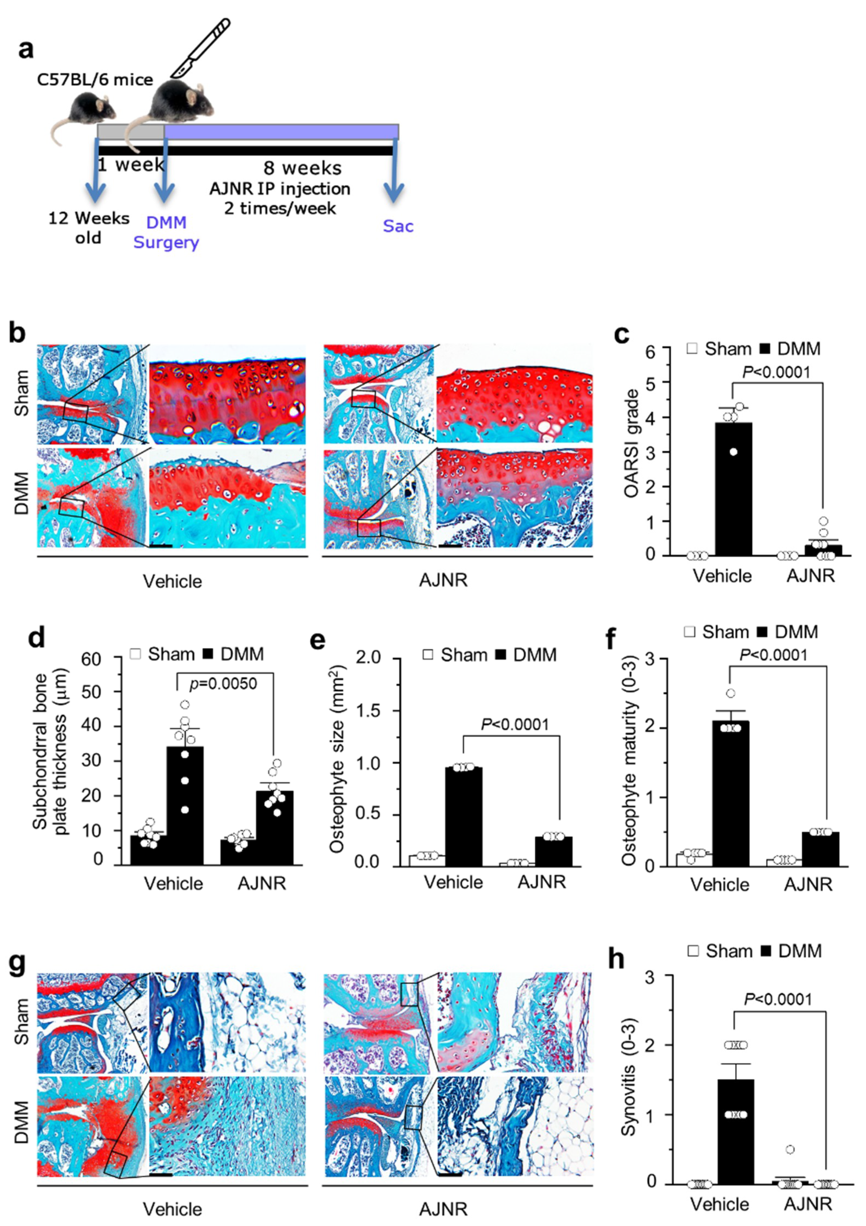 Pharmaceuticals 14 00776 g004