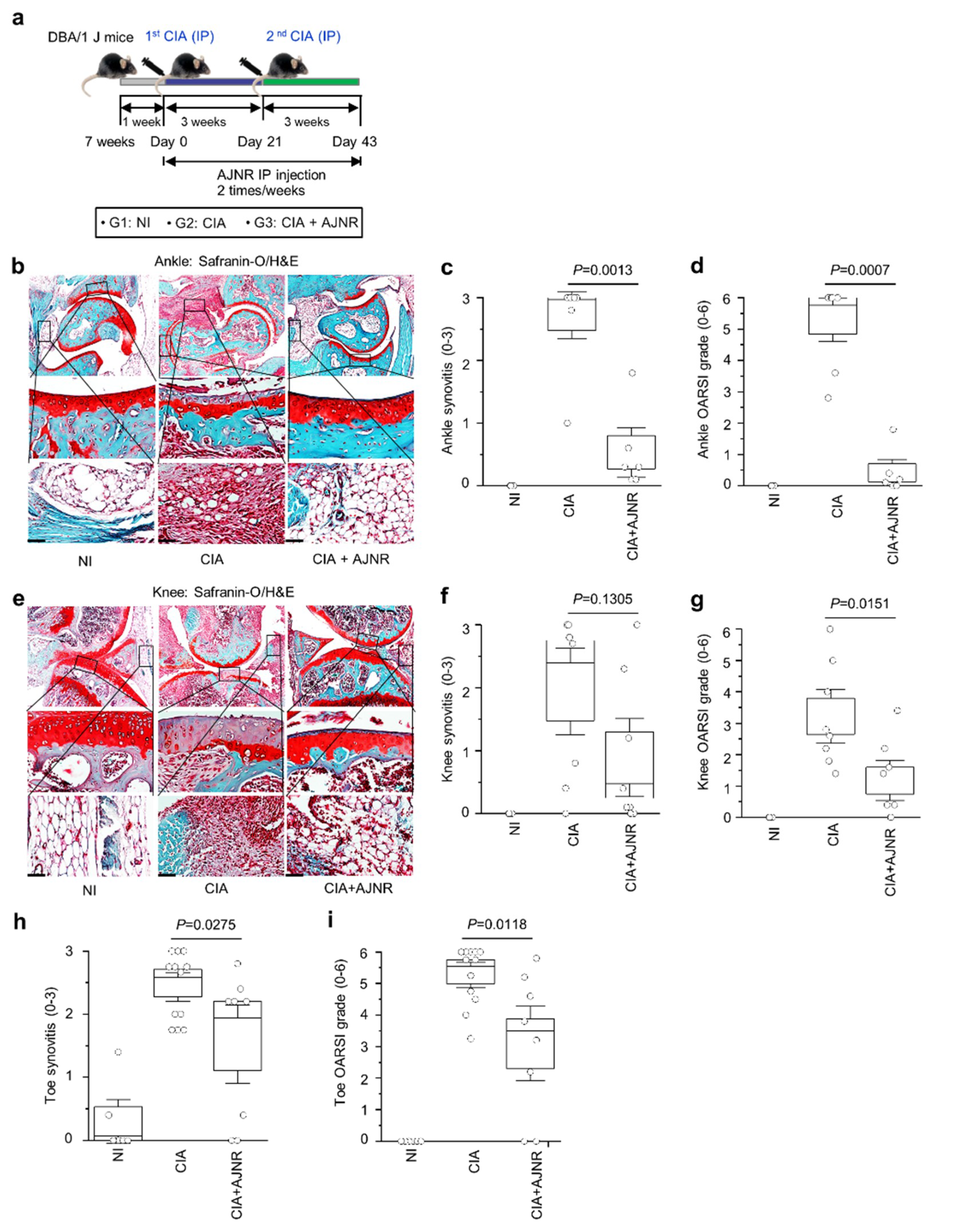 Pharmaceuticals 14 00776 g005