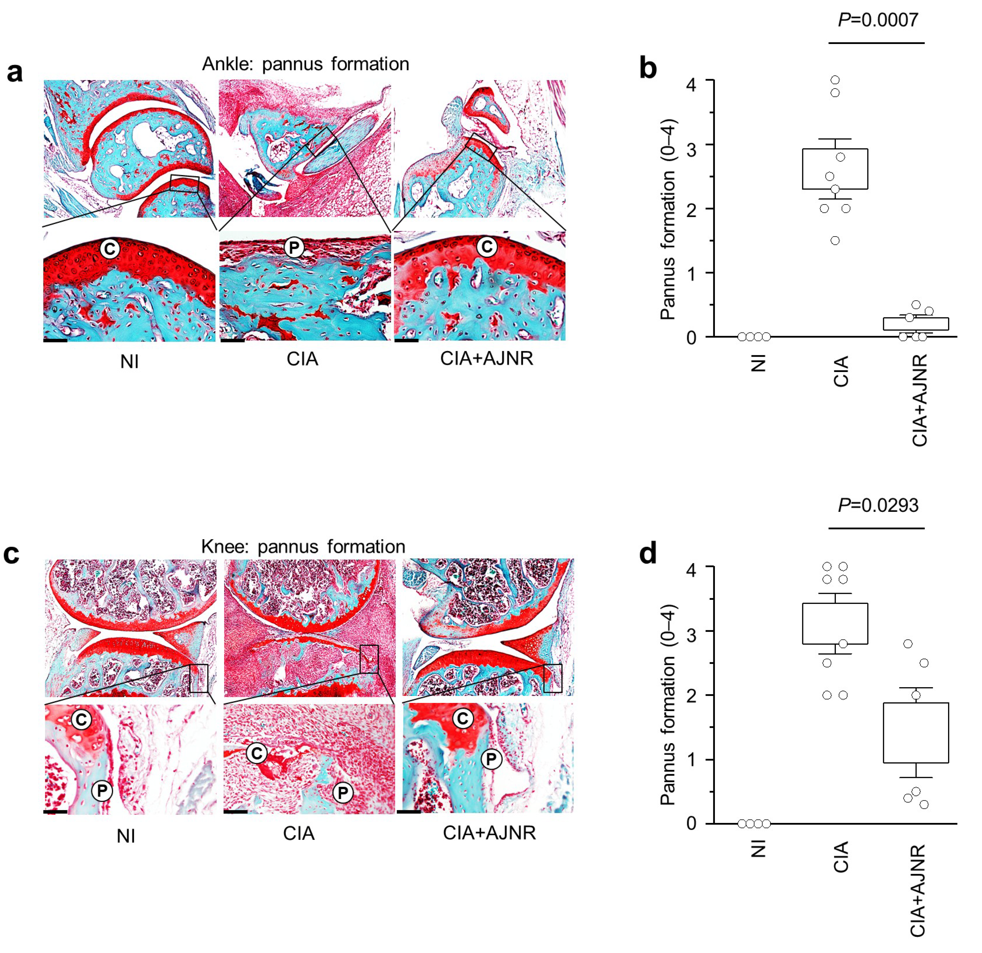 Pharmaceuticals 14 00776 g006
