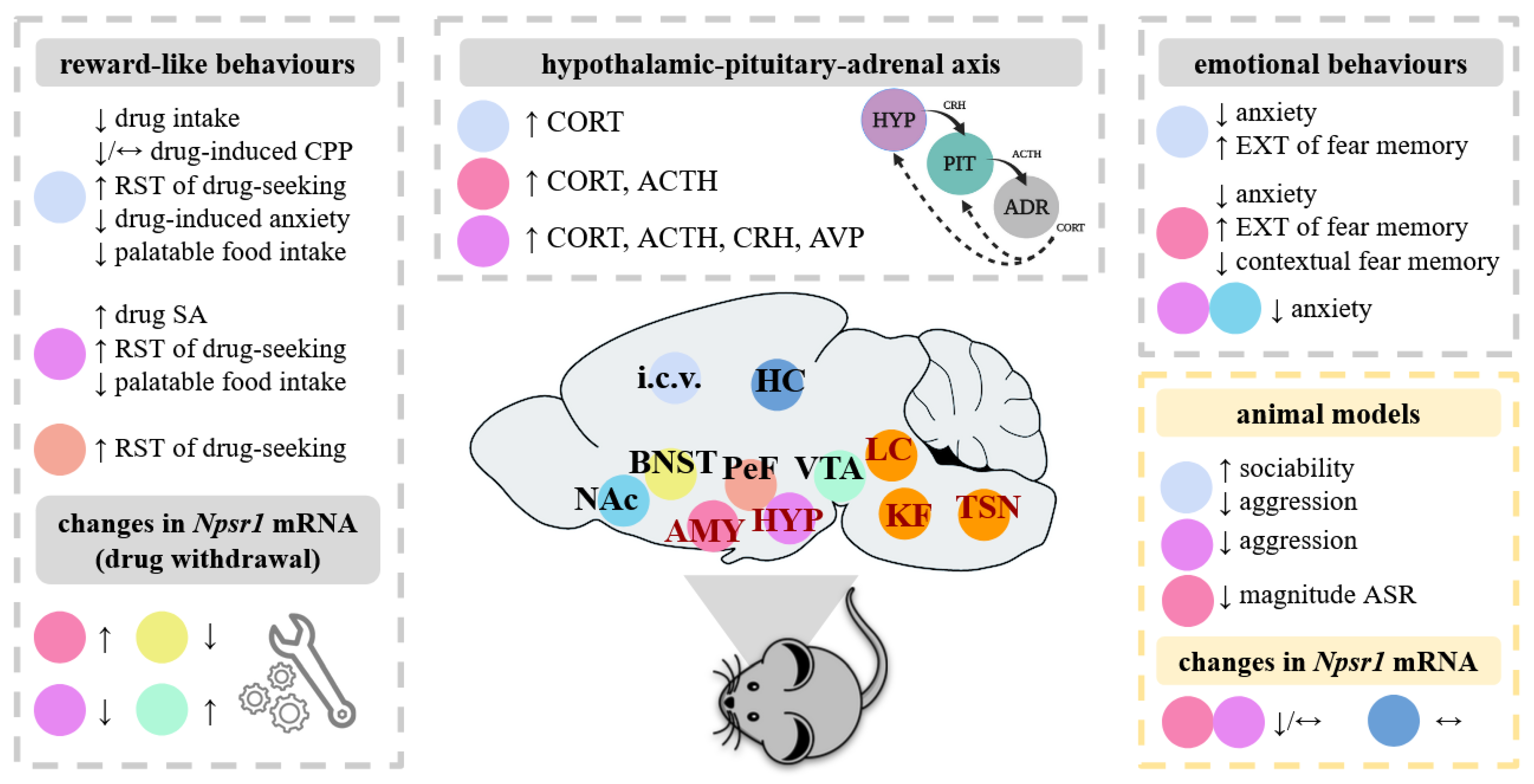 Pharmaceuticals 14 00780 g001