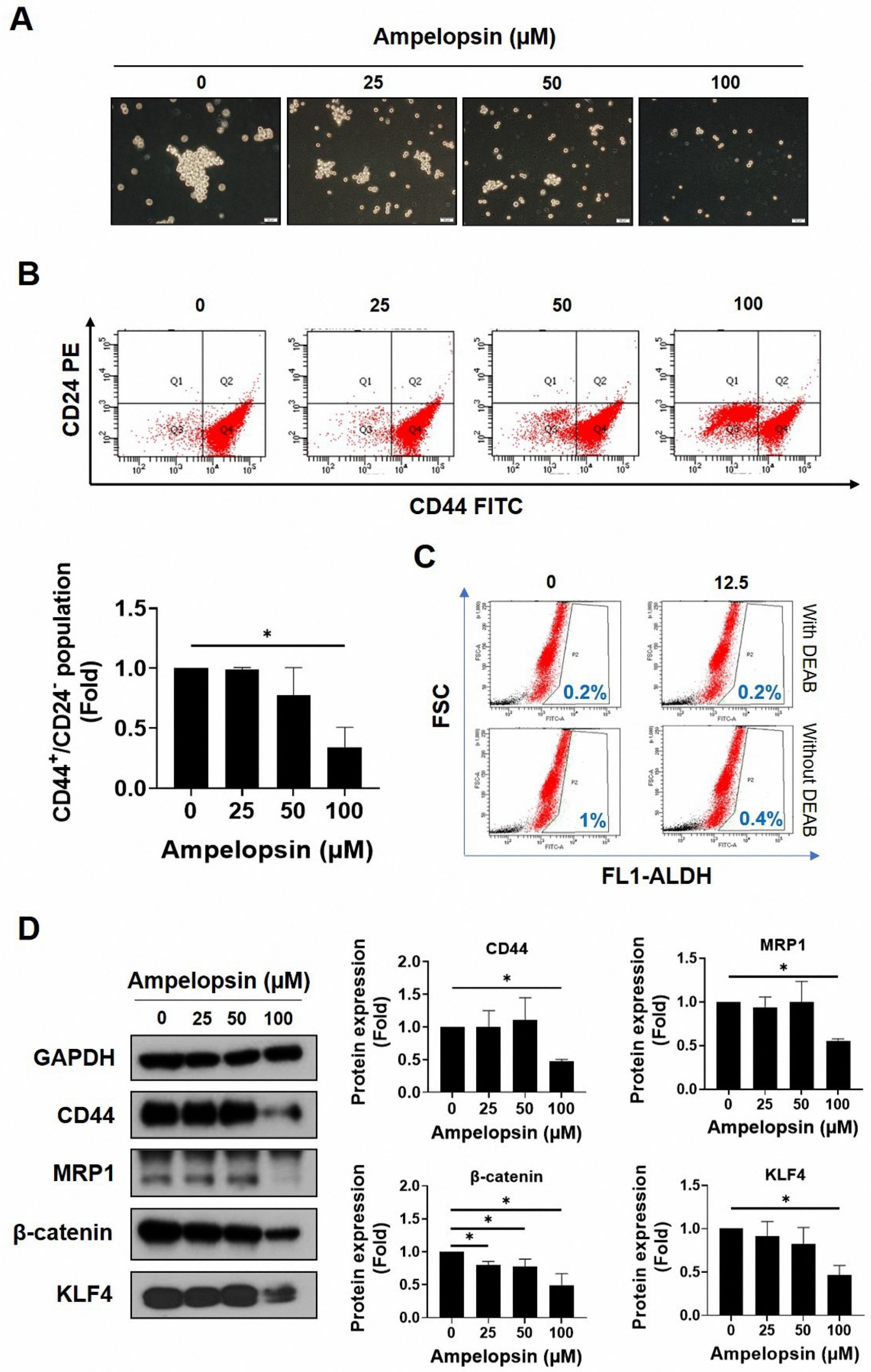 Pharmaceuticals 14 00794 g002