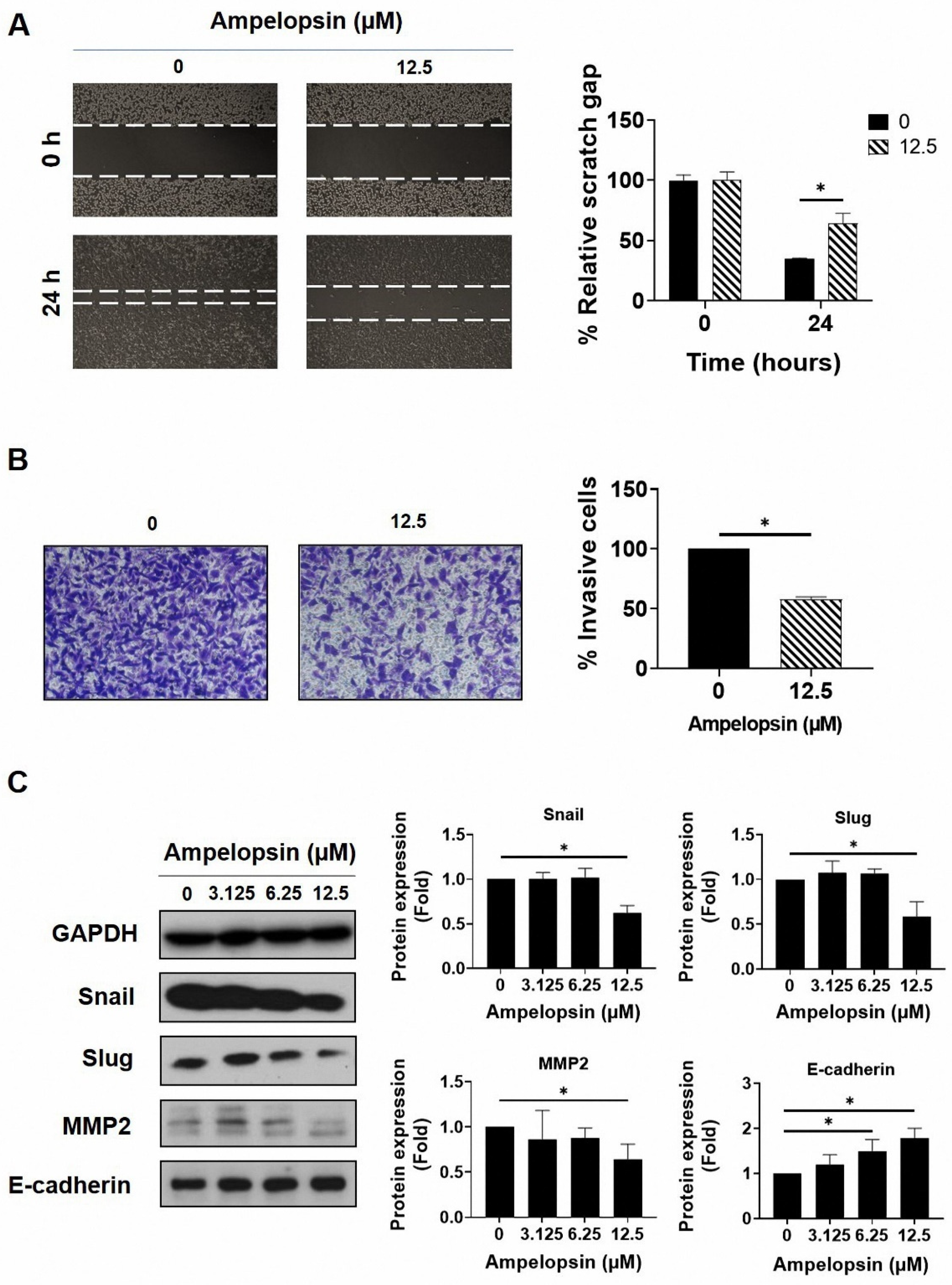 Pharmaceuticals 14 00794 g003