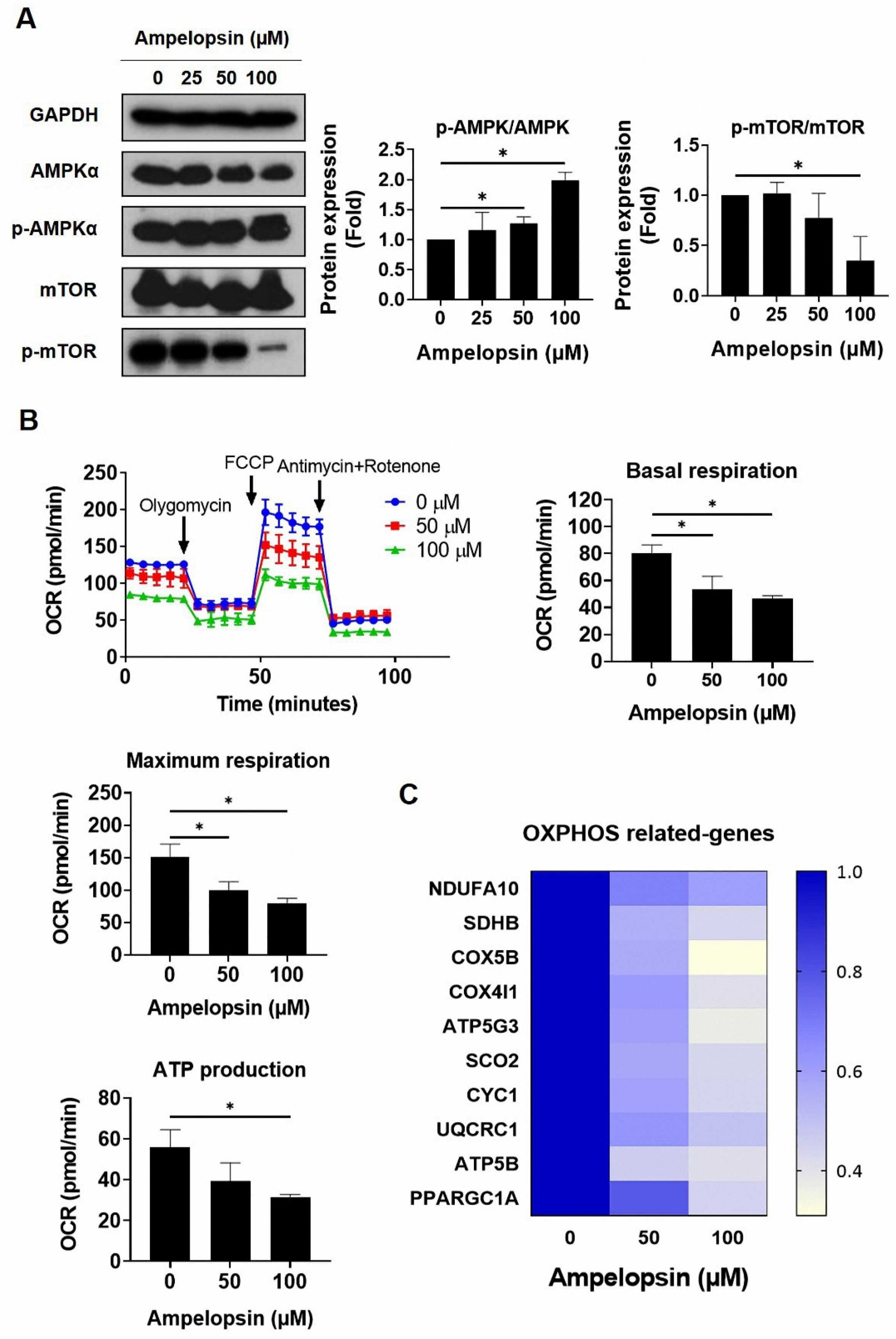 Pharmaceuticals 14 00794 g004