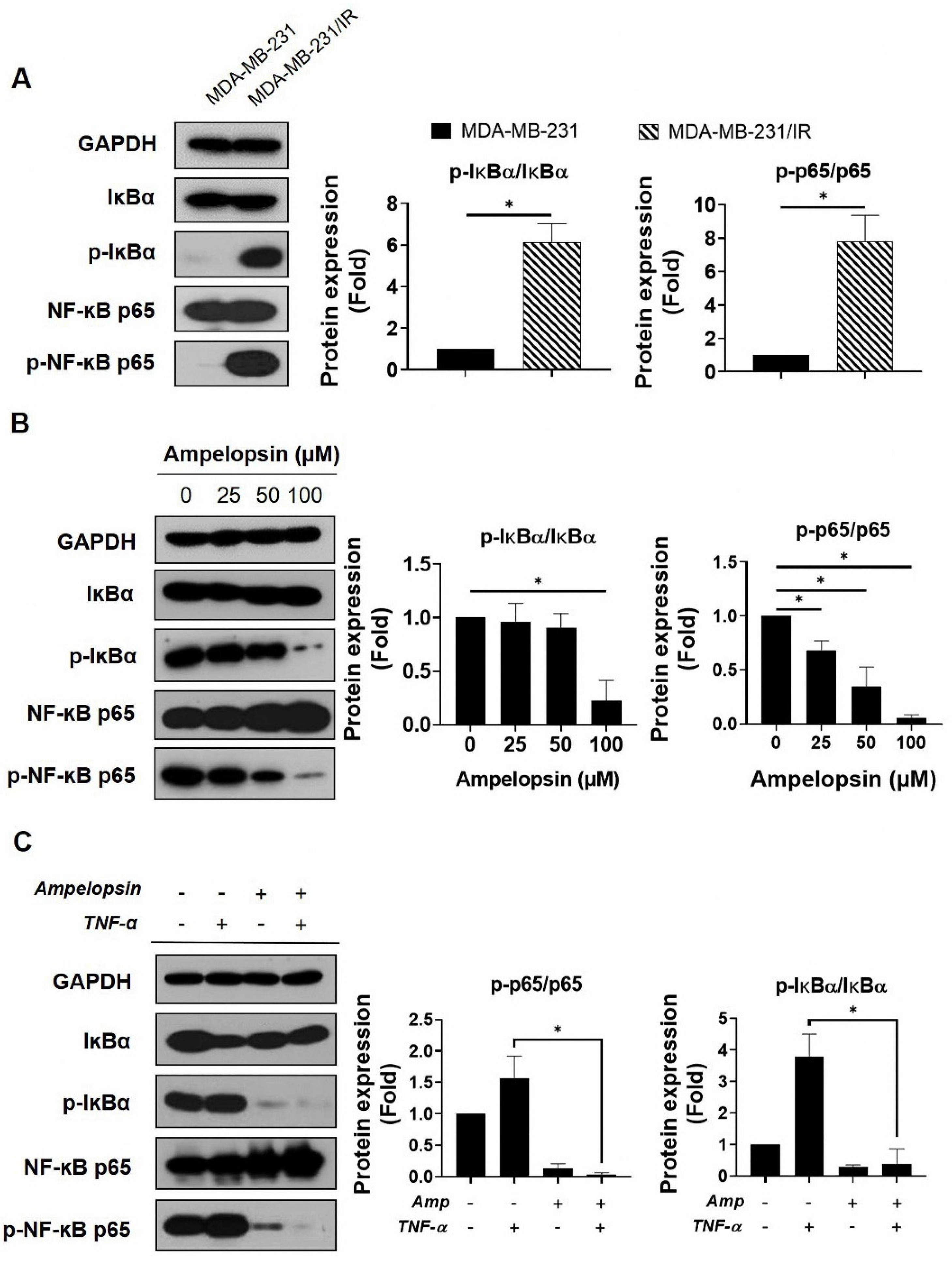 Pharmaceuticals 14 00794 g005
