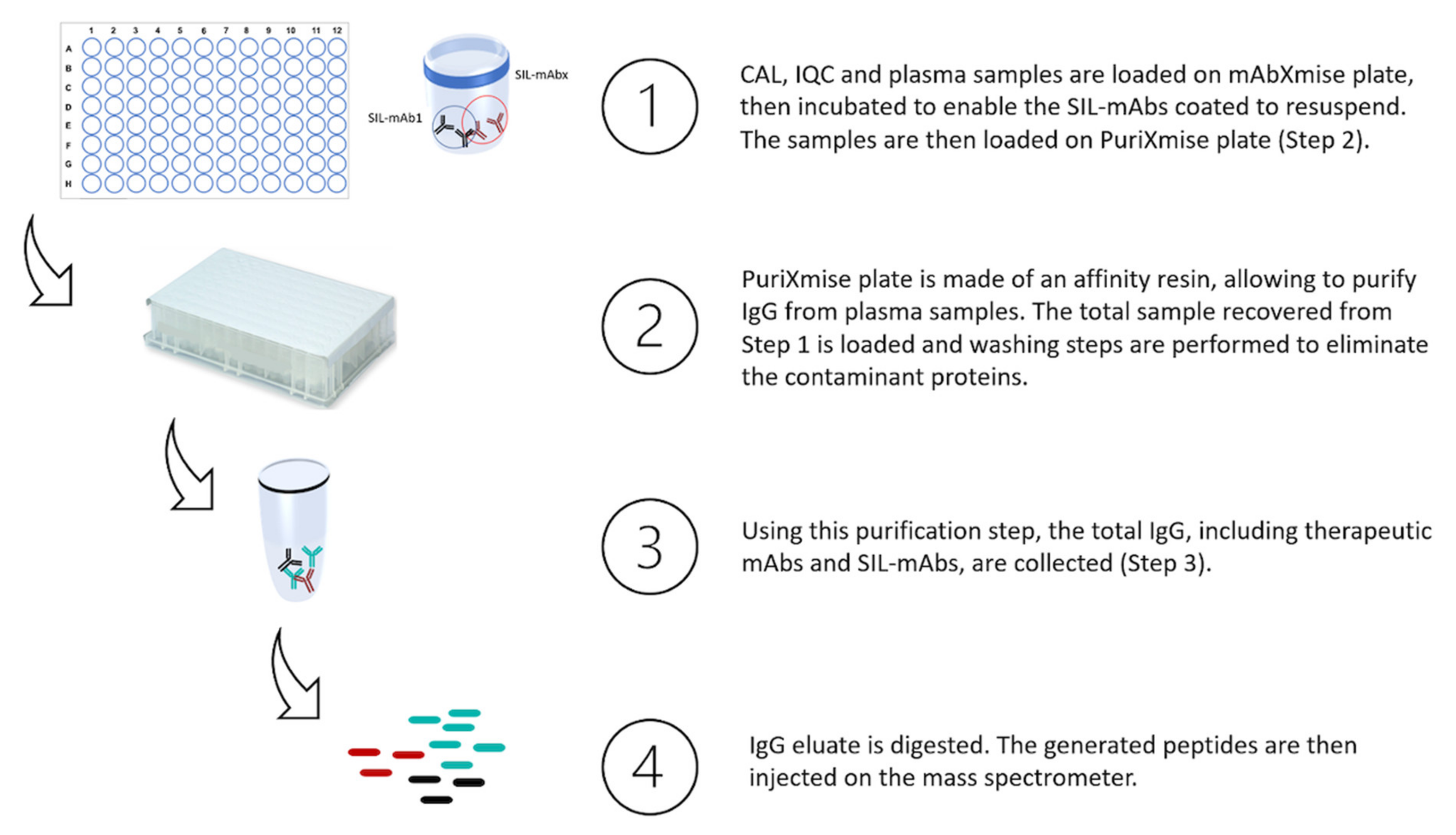 Pharmaceuticals 14 00796 g005